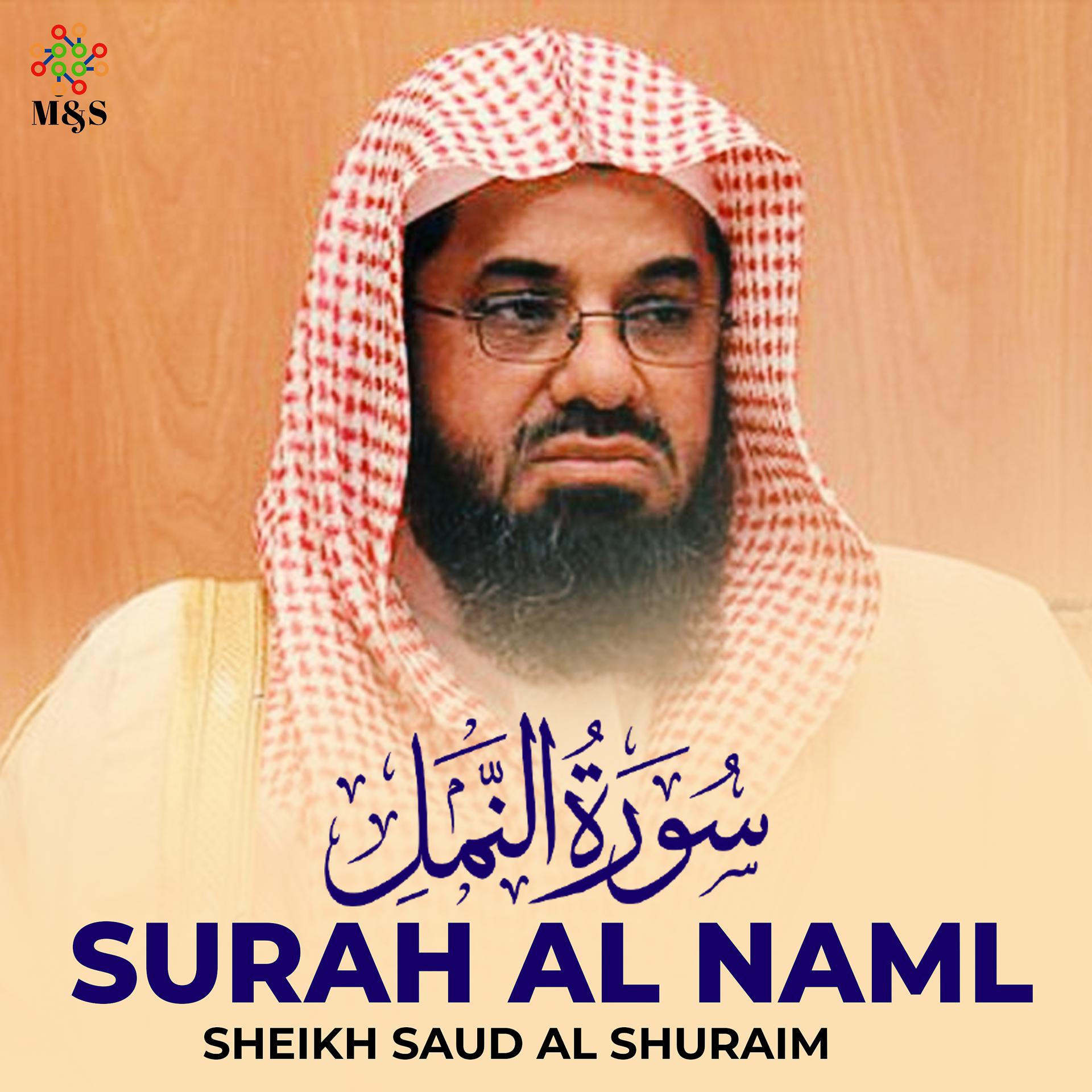 Постер альбома Surah Al Naml - Single