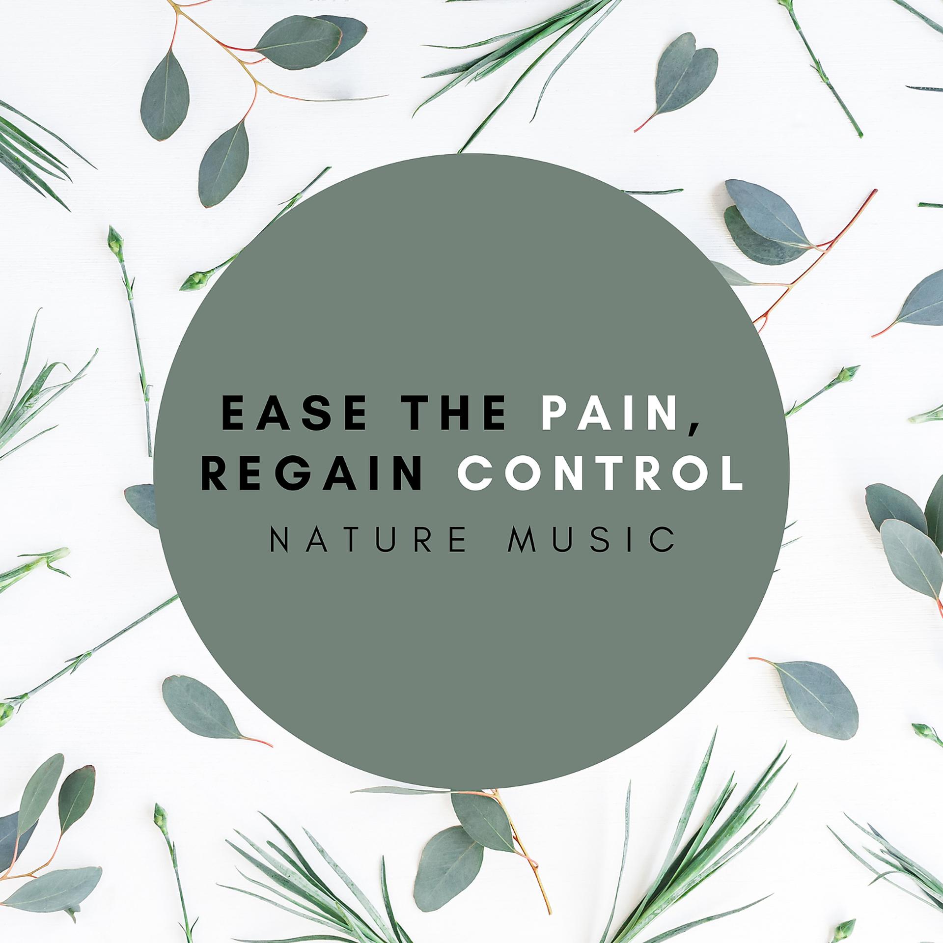 Постер альбома Ease the Pain, Regain Comfort – Calming Nature Music for Stomach Pain Relief, Aid in Premenstrual Tension Syndrome