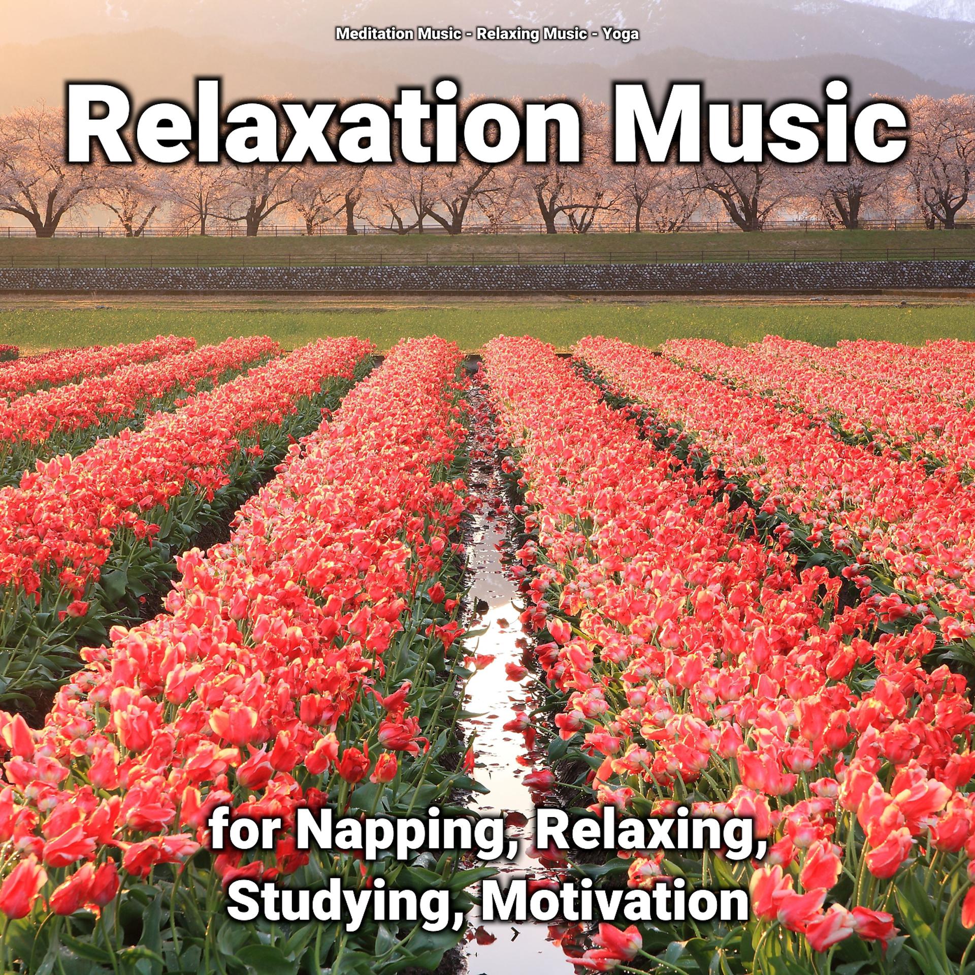 Постер альбома Relaxation Music for Napping, Relaxing, Studying, Motivation