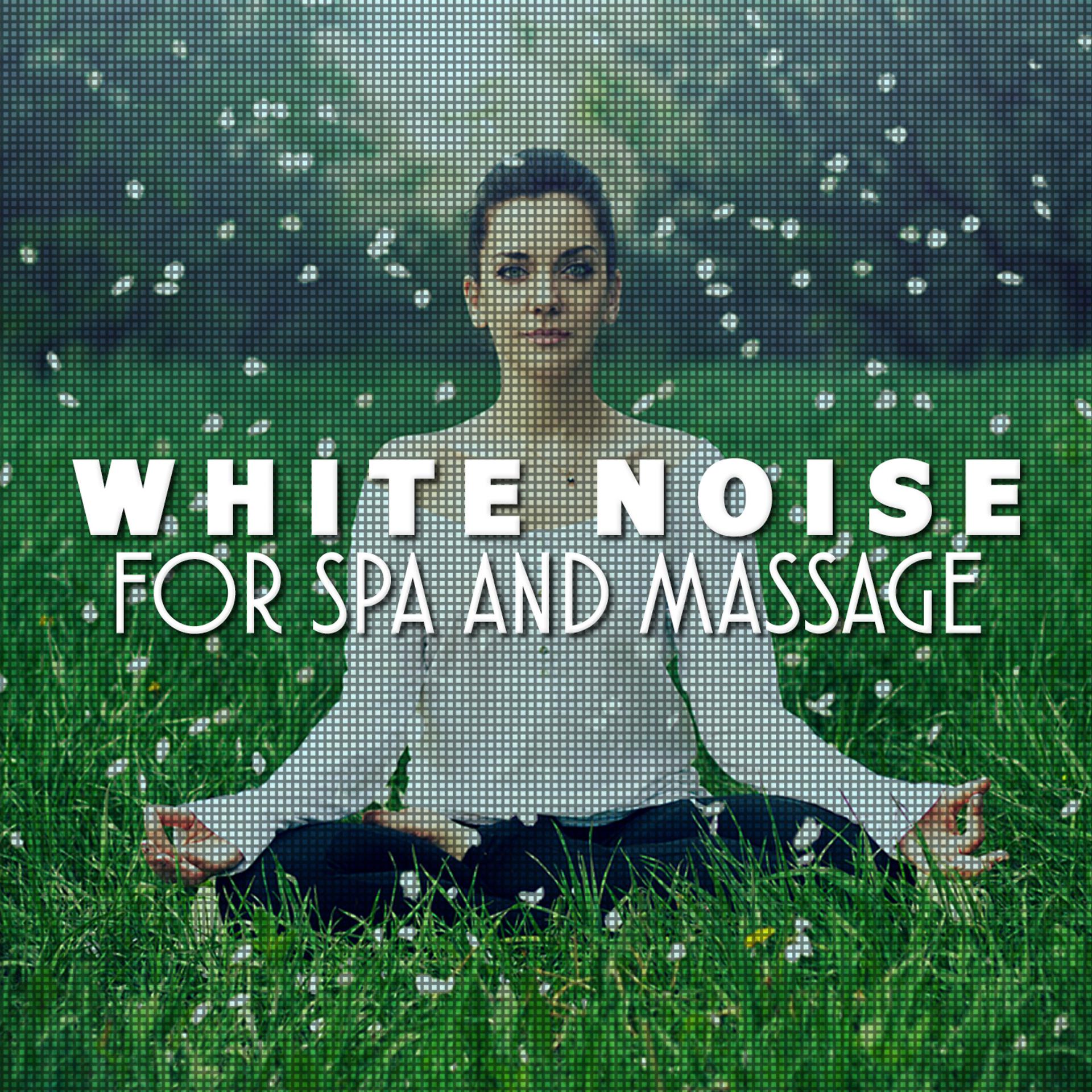 Постер альбома White Noise for Spa and Massage