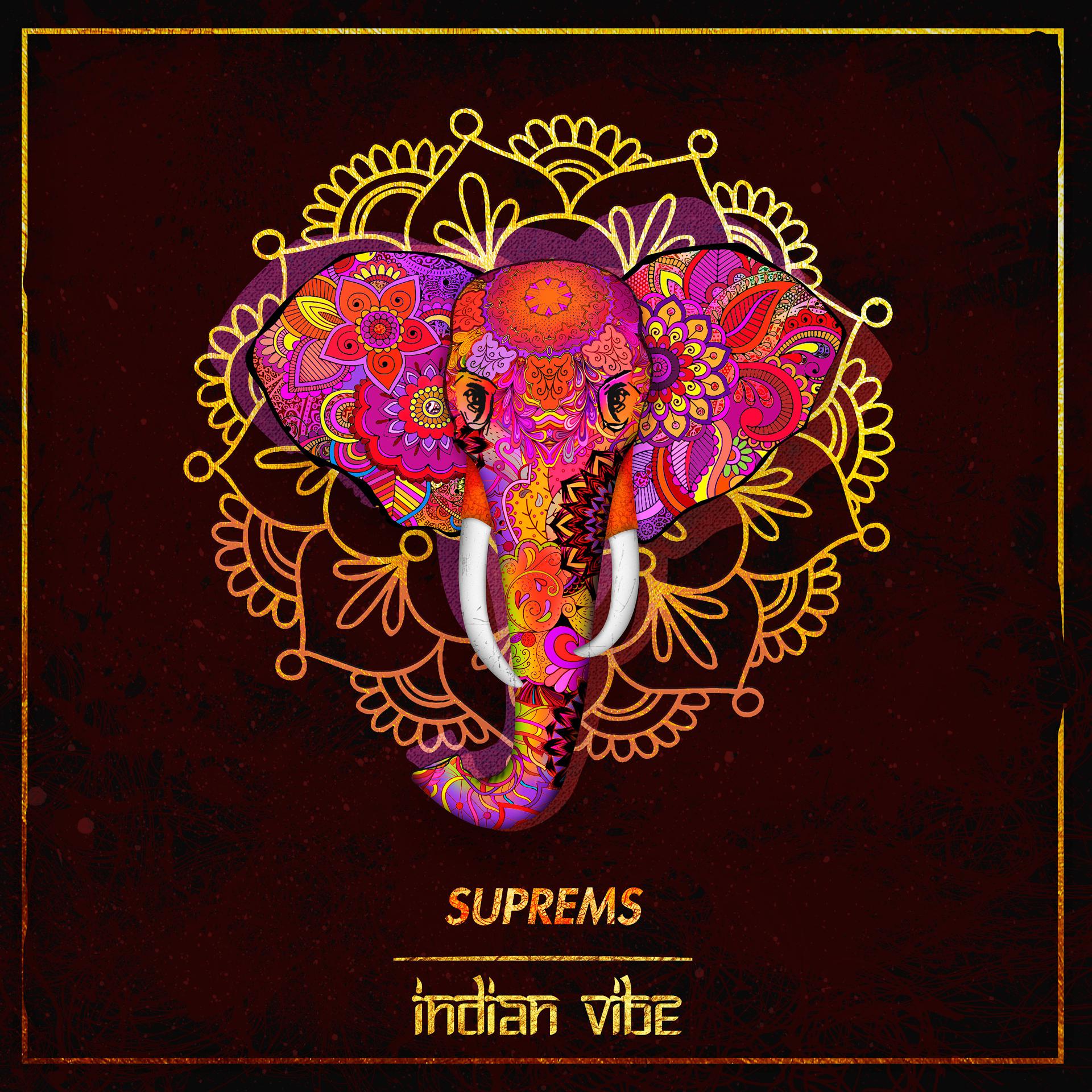 Постер альбома Indian Vibe