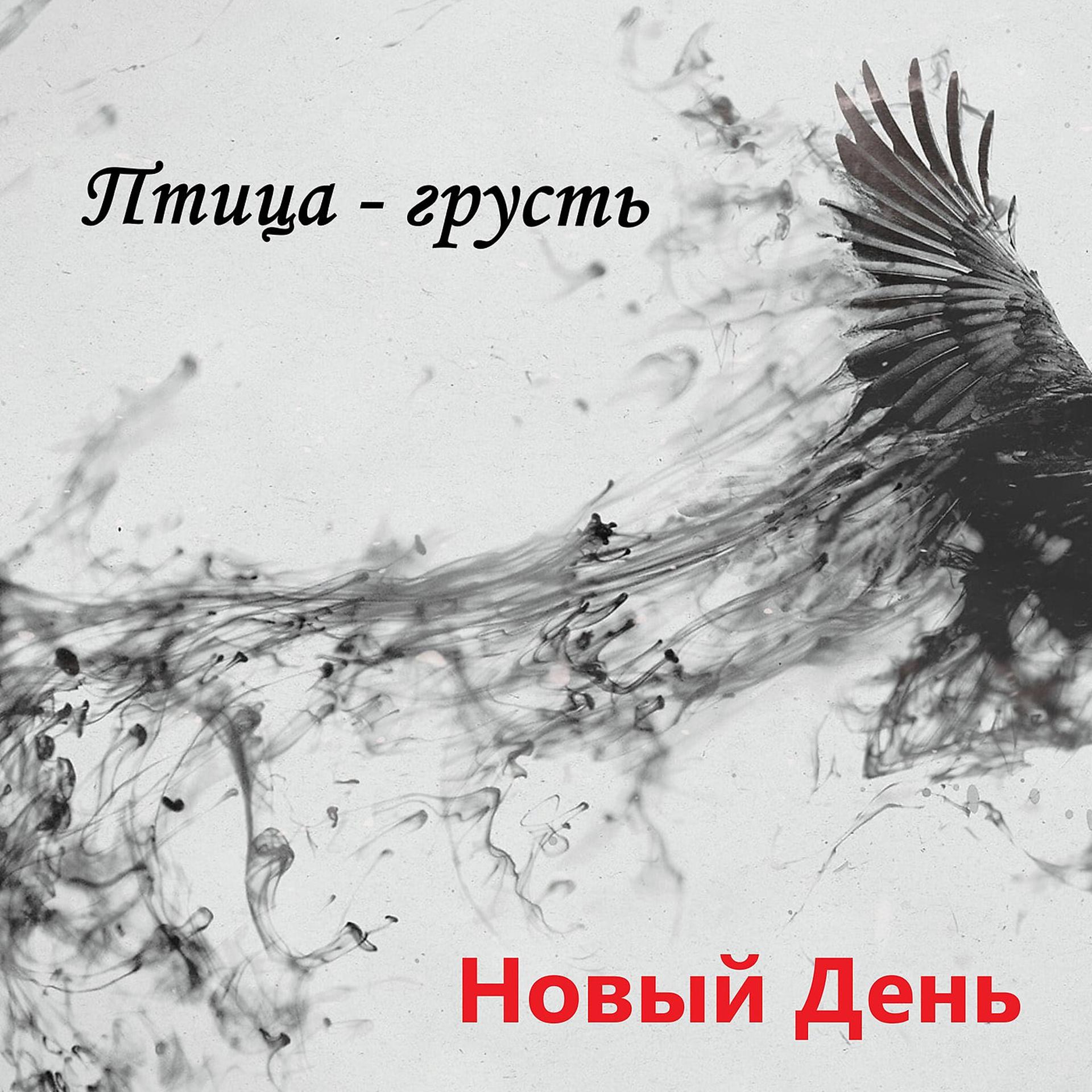 Постер альбома Птица - грусть