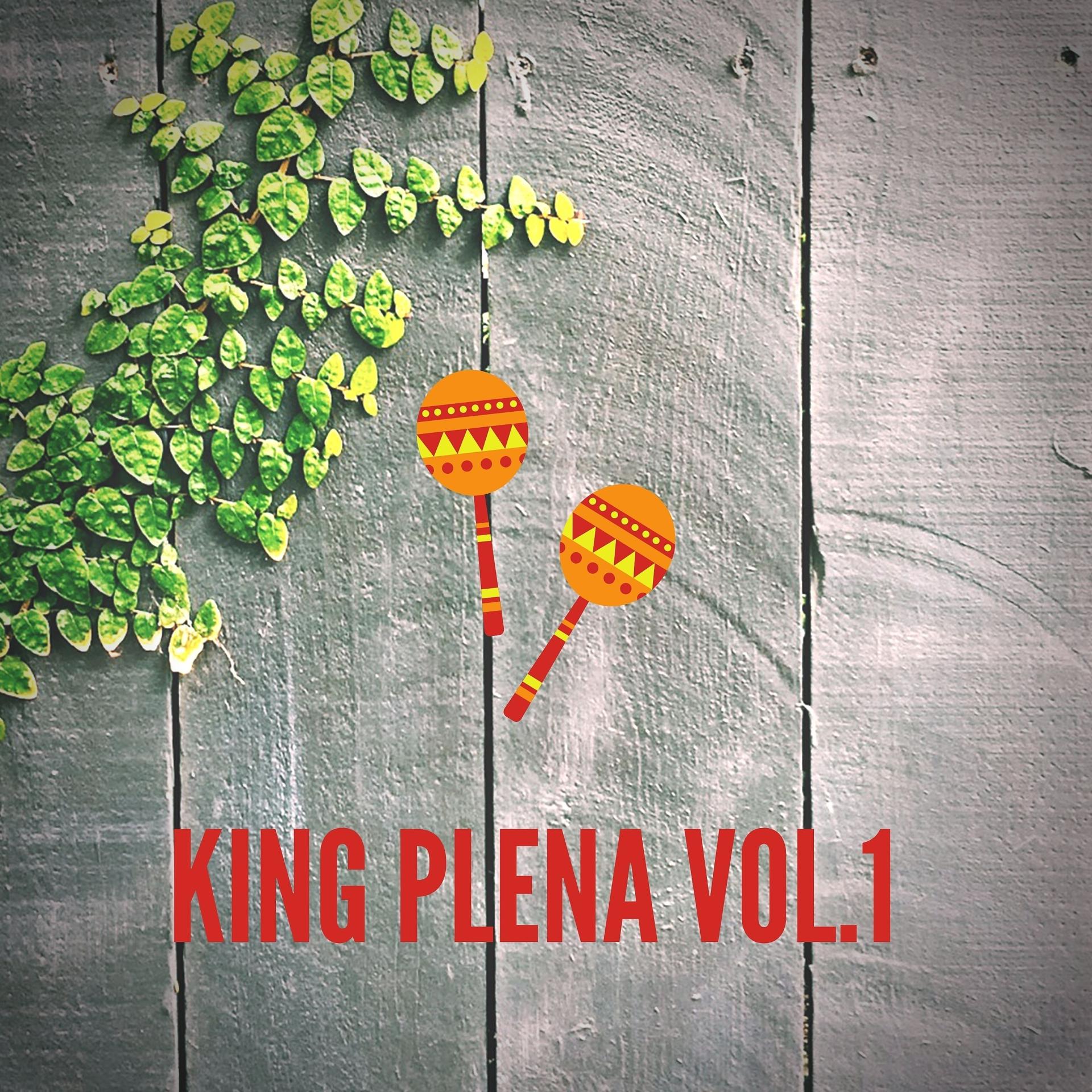 Постер альбома King Plena Vol. 1