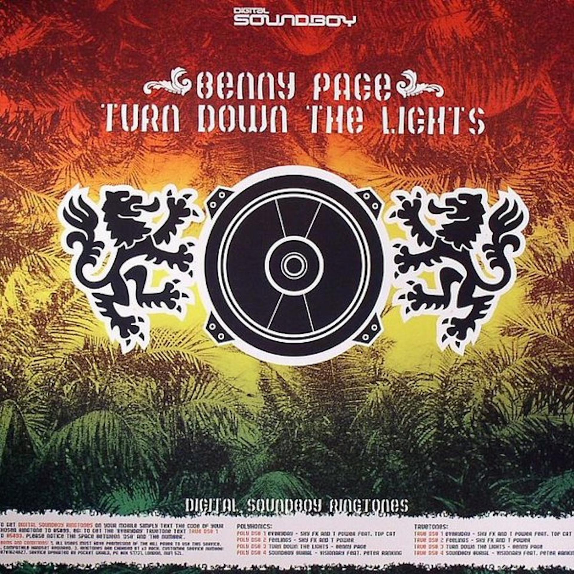 Постер альбома Turn Down the Lights