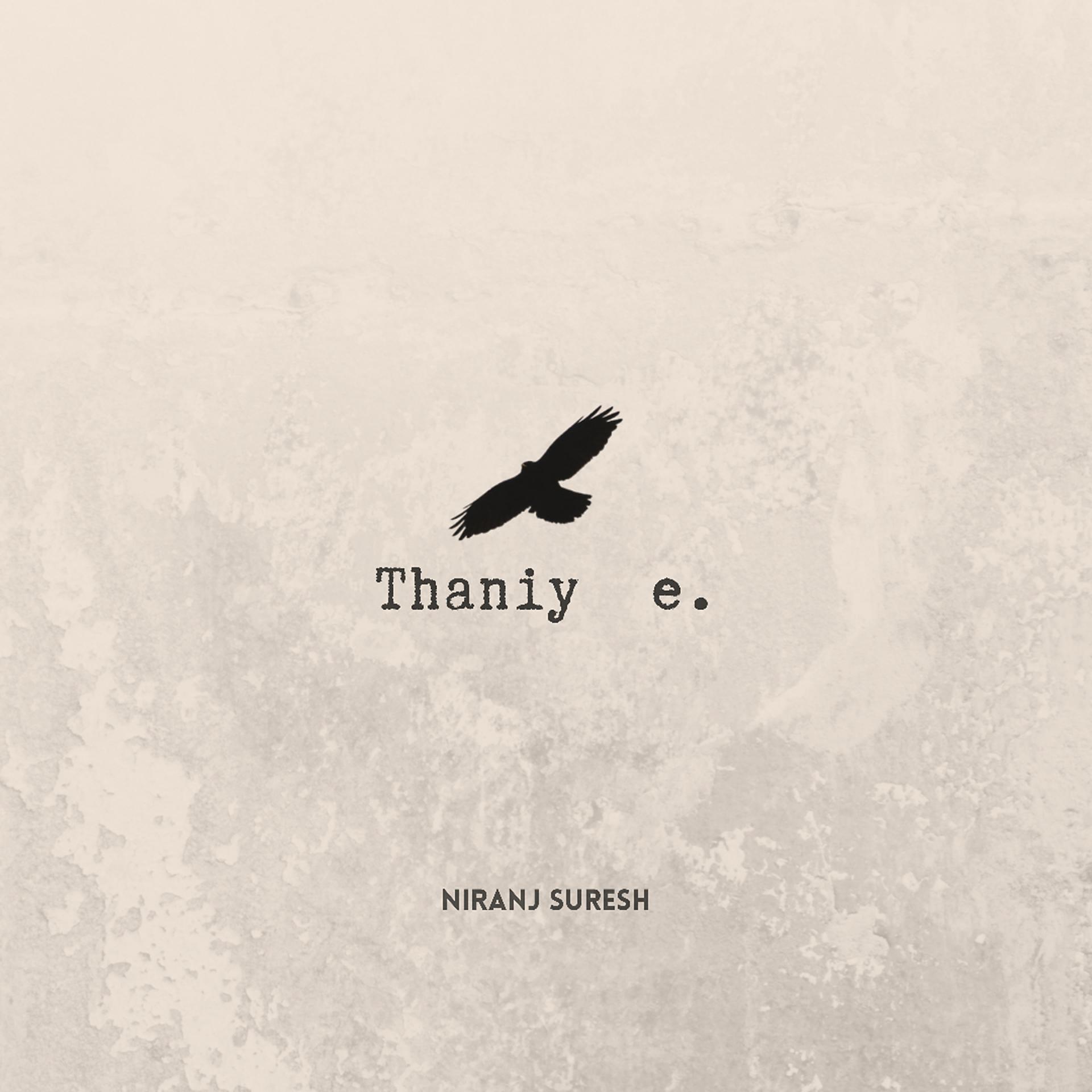 Постер альбома Thaniye