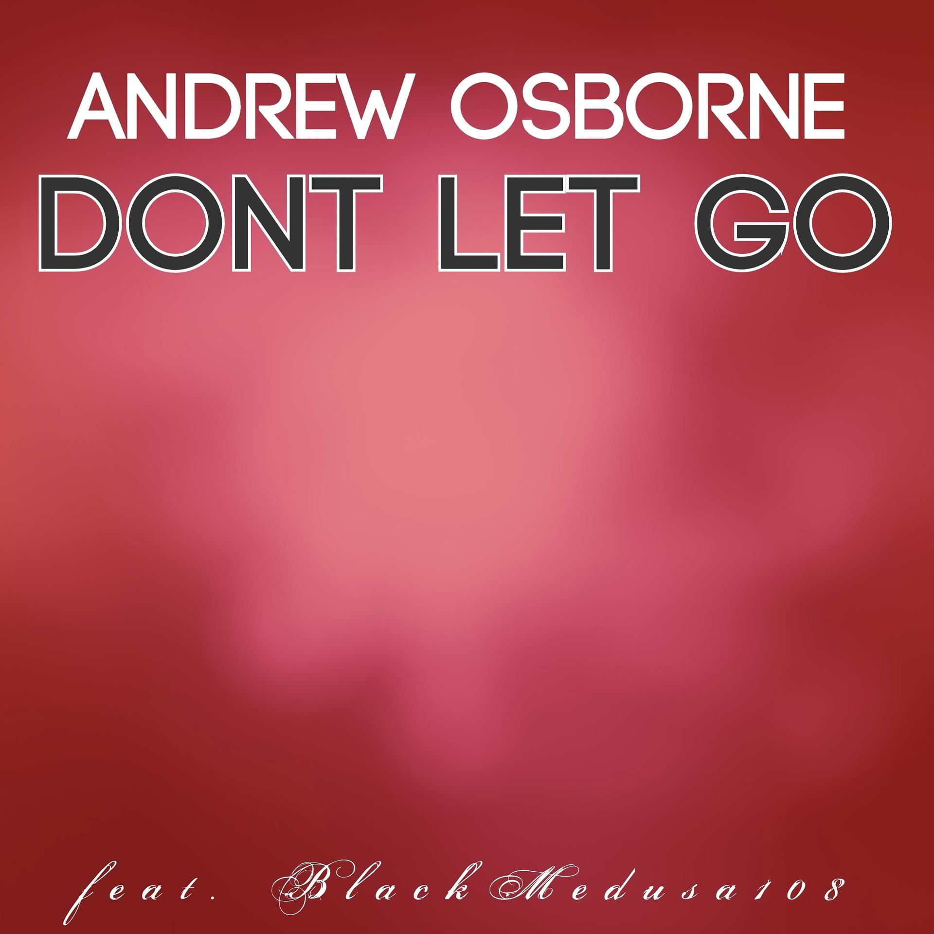 Постер альбома Dont Let Go