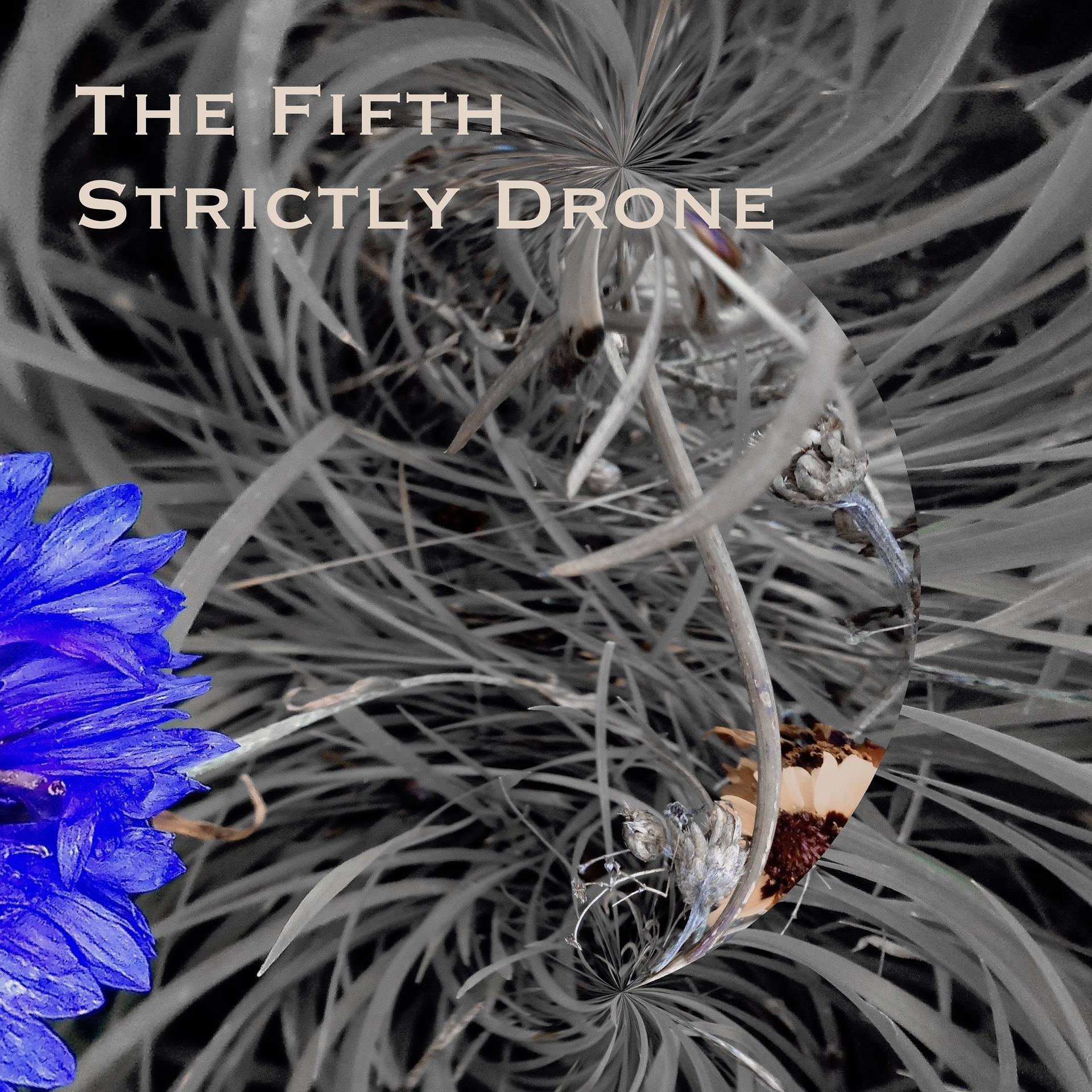Постер альбома The Fifth Strictly Drone