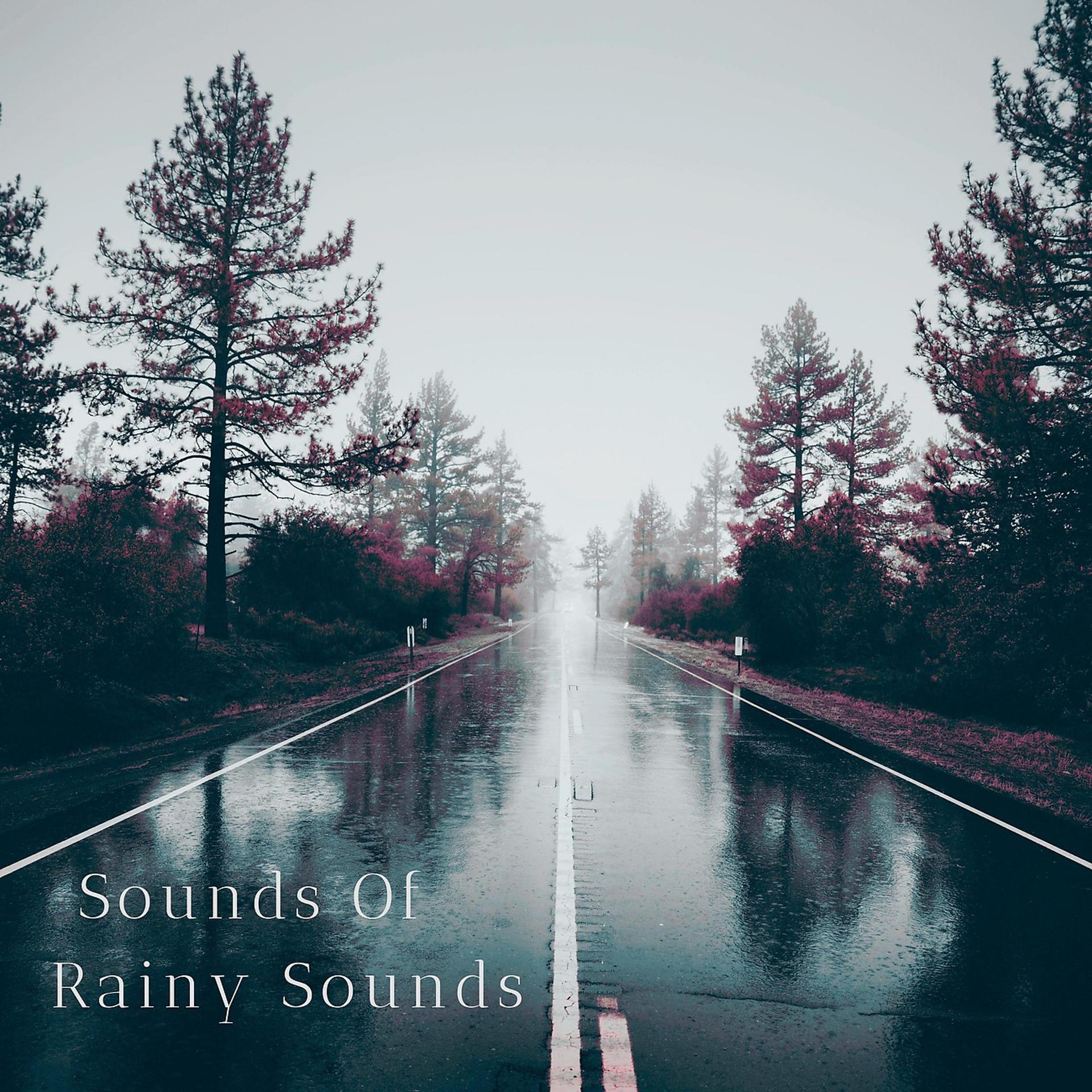 Постер альбома Sounds of Rainy Sounds