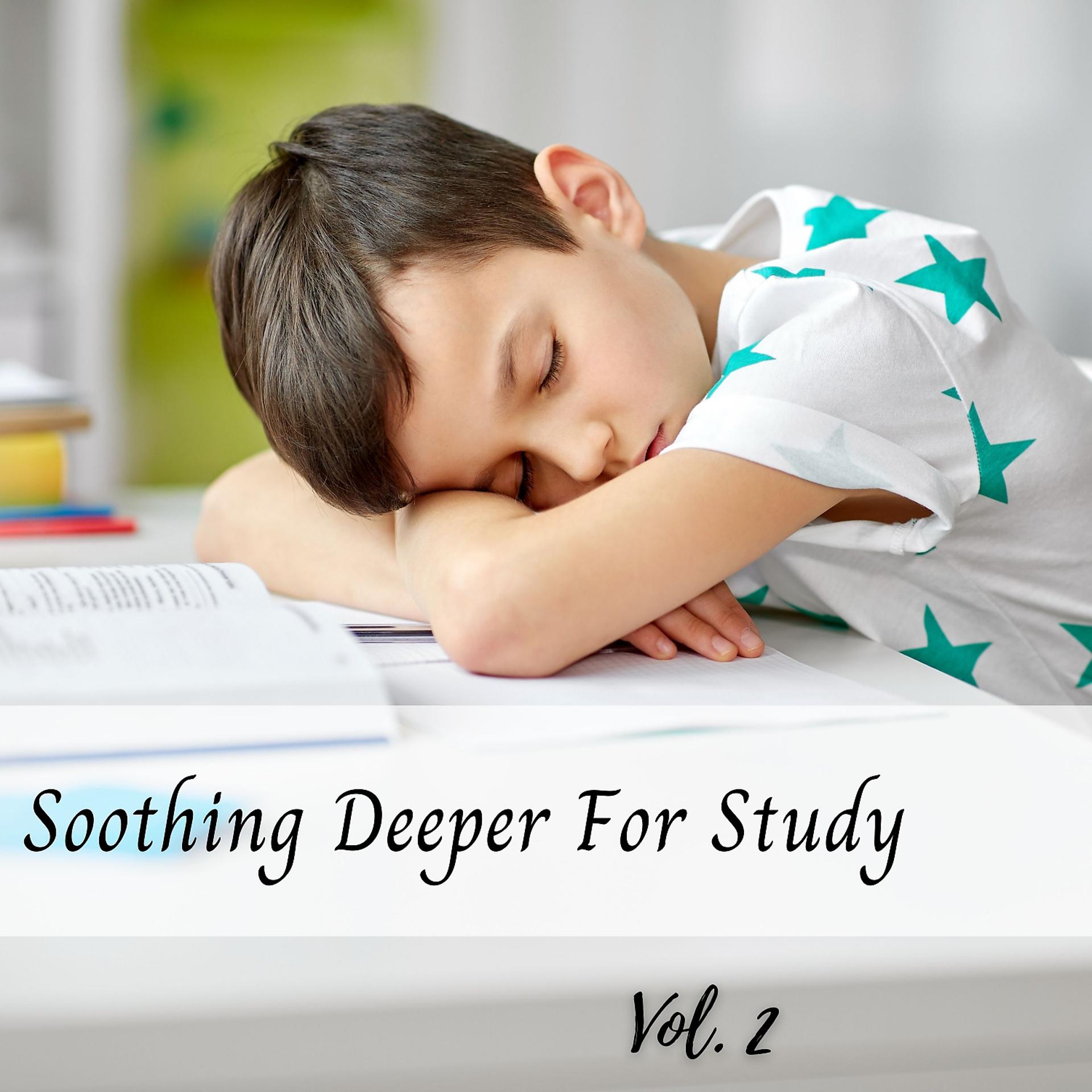 Постер альбома Soothing Deeper For Study Vol. 2