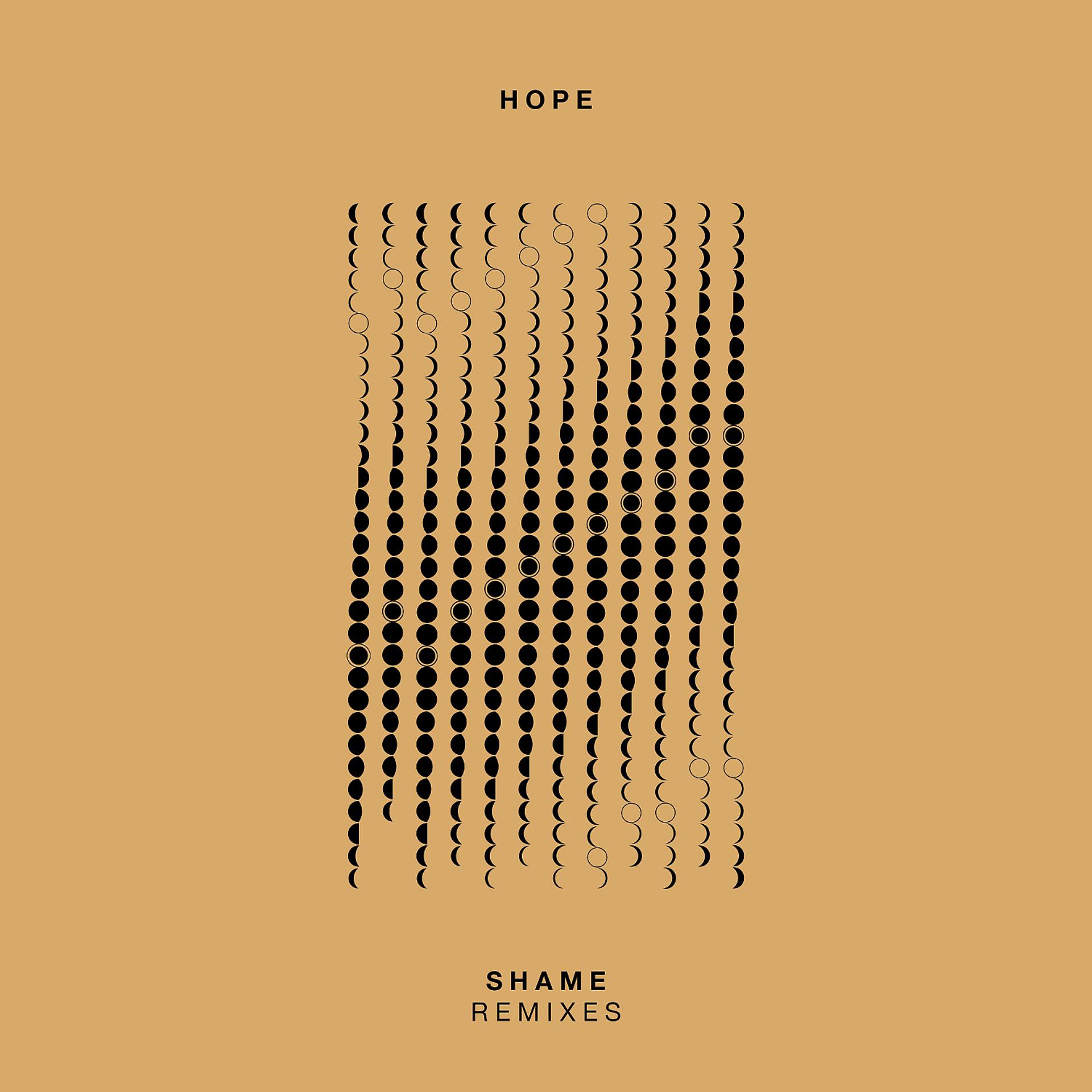 Постер альбома Shame Remixes