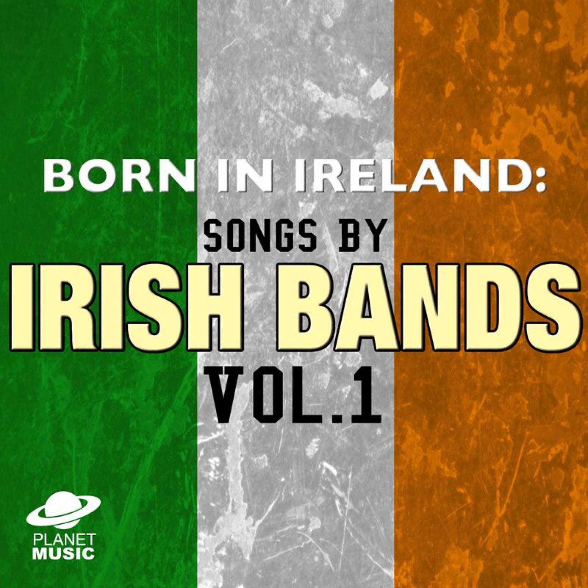 Постер альбома Born in Ireland: Songs By Irish Bands Vol. 1