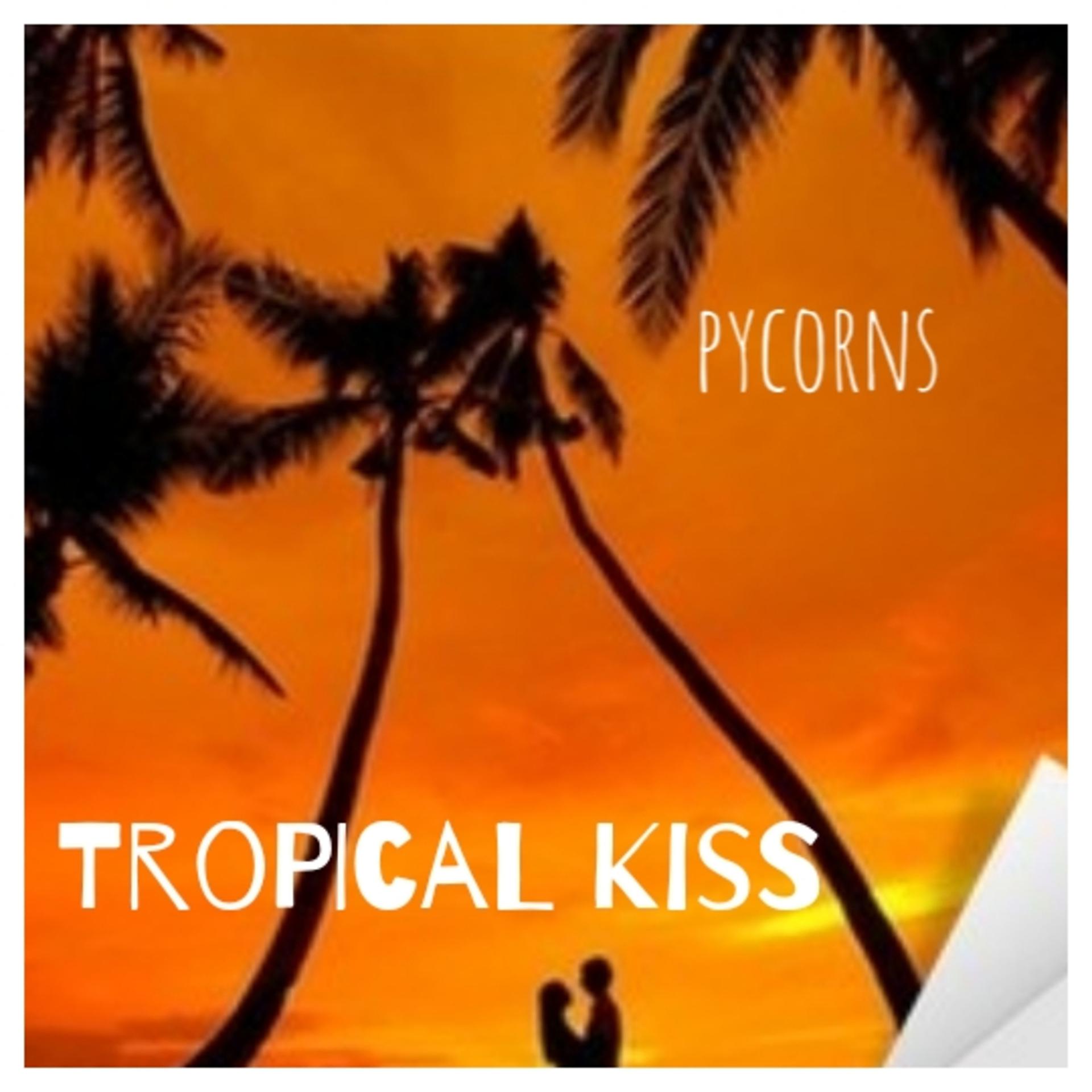 Постер альбома Tropical kiss (Tropical house)
