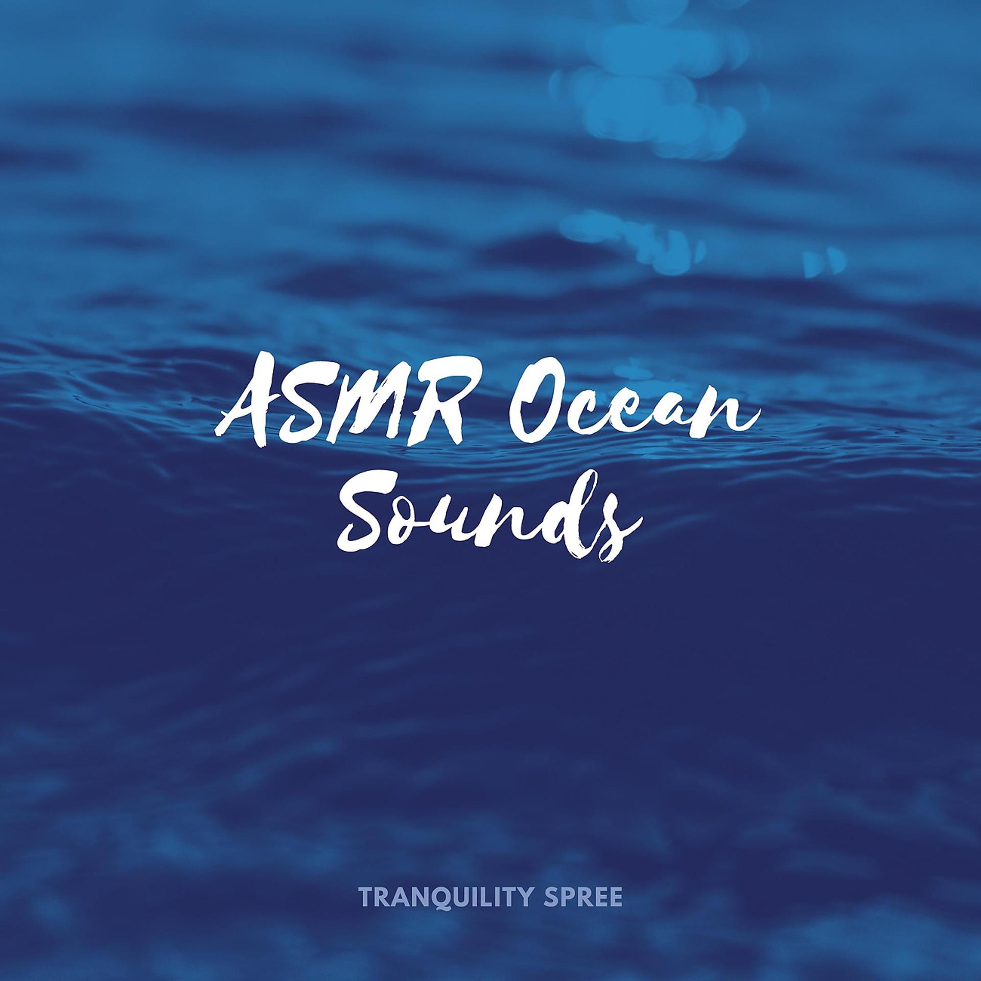 Постер альбома ASMR Ocean Sounds