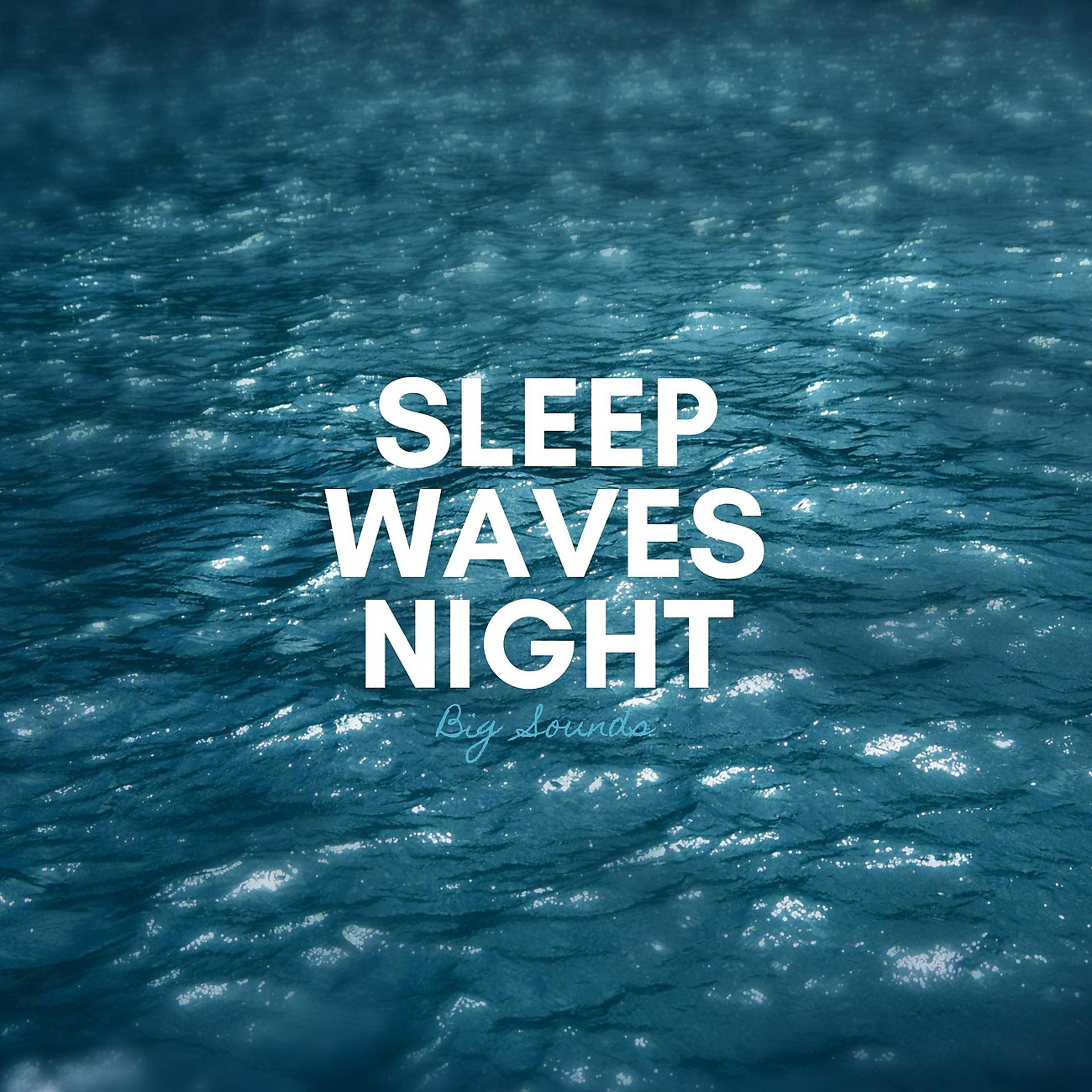 Постер альбома Sleep Waves Night
