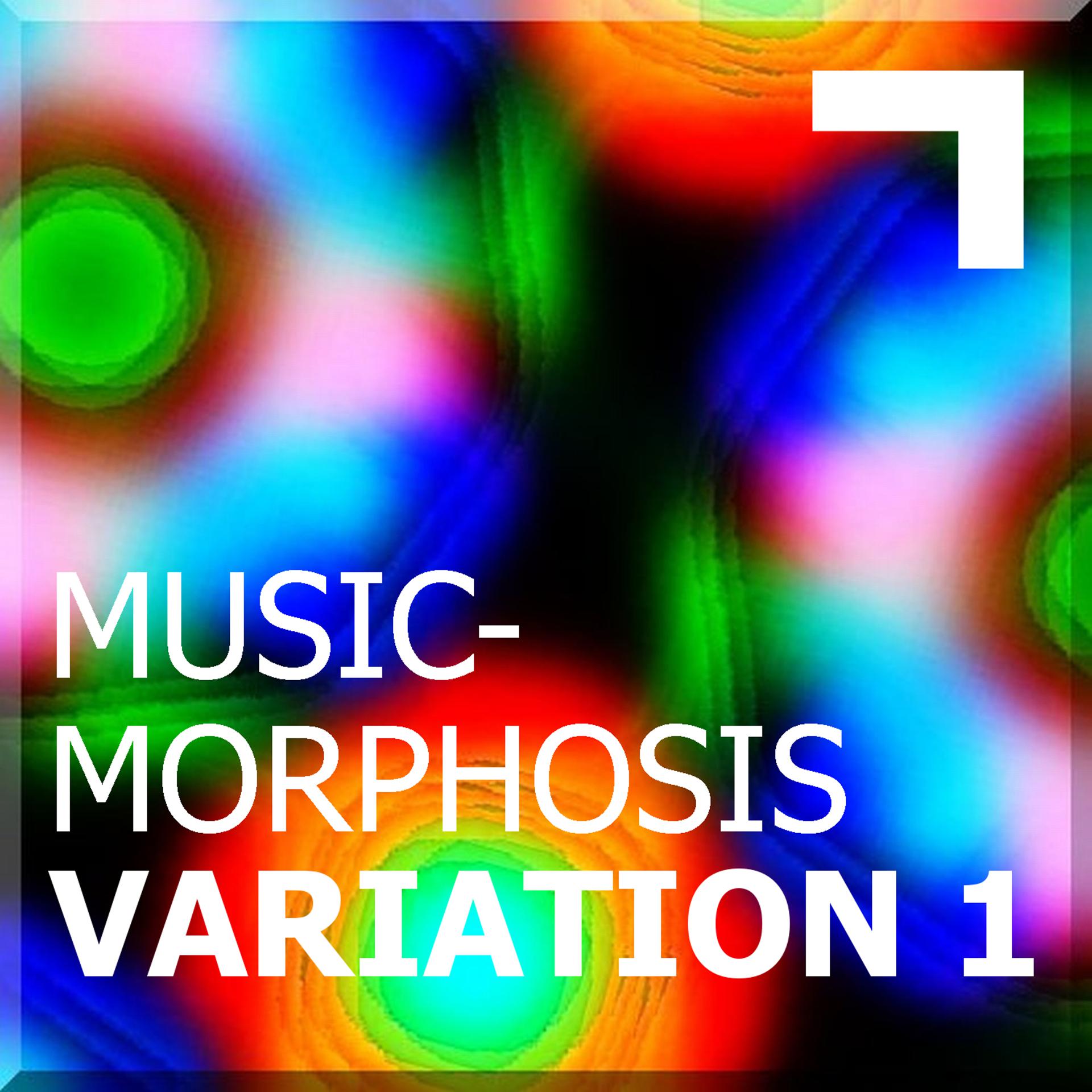 Постер альбома Musicmorphosis – Variation 1