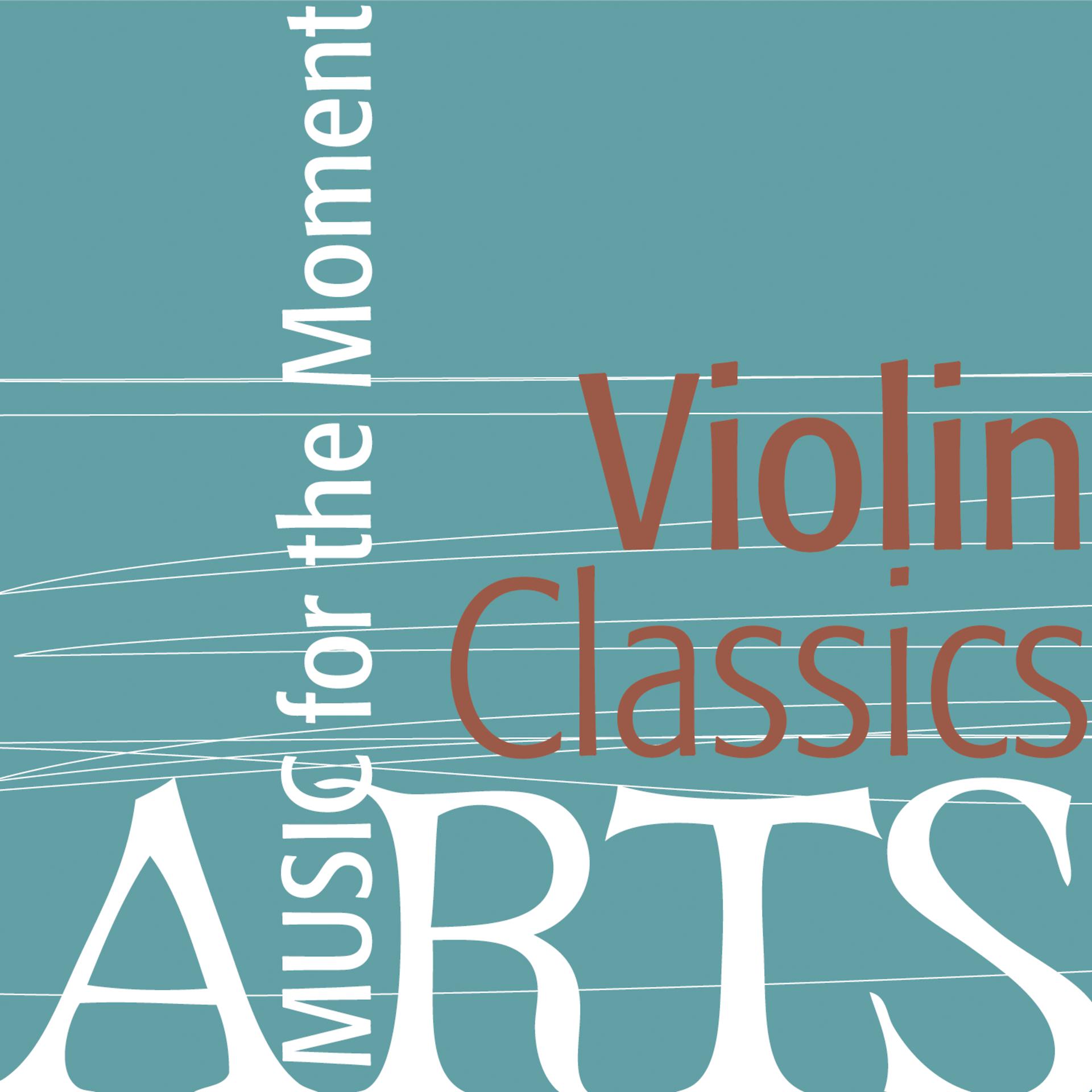 Постер альбома Music for the Moment: Violin Classics