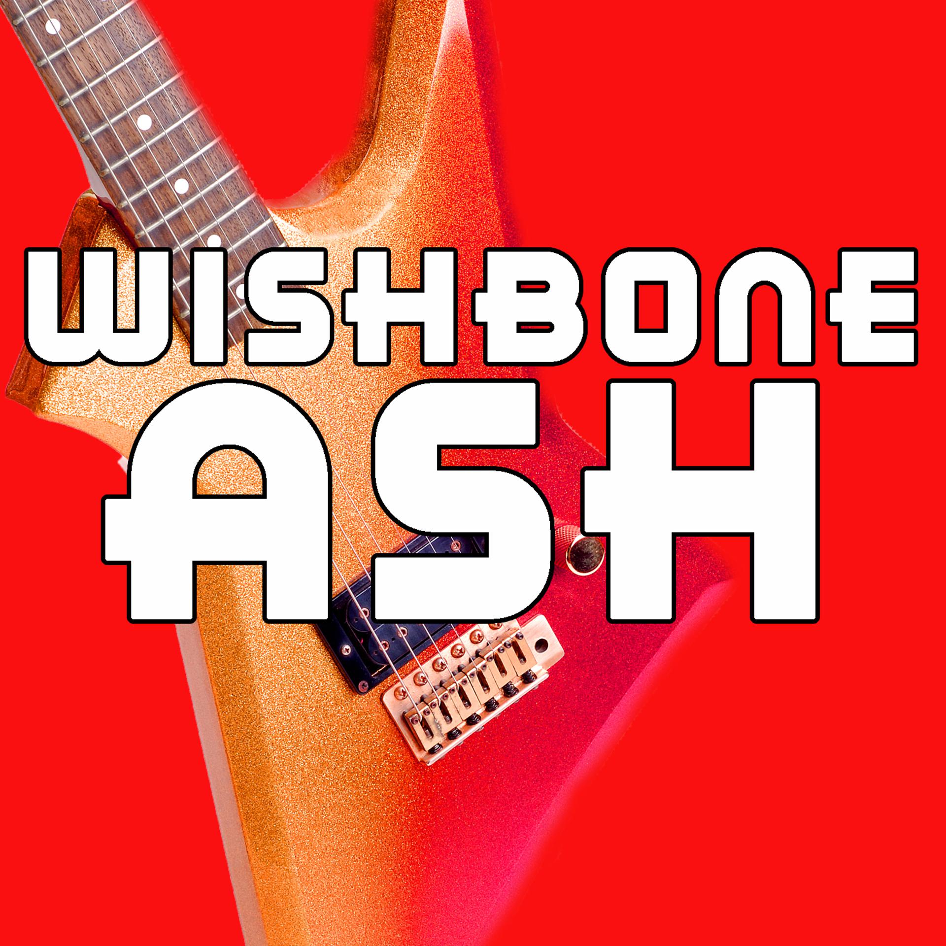 Постер альбома Wishbone Ash