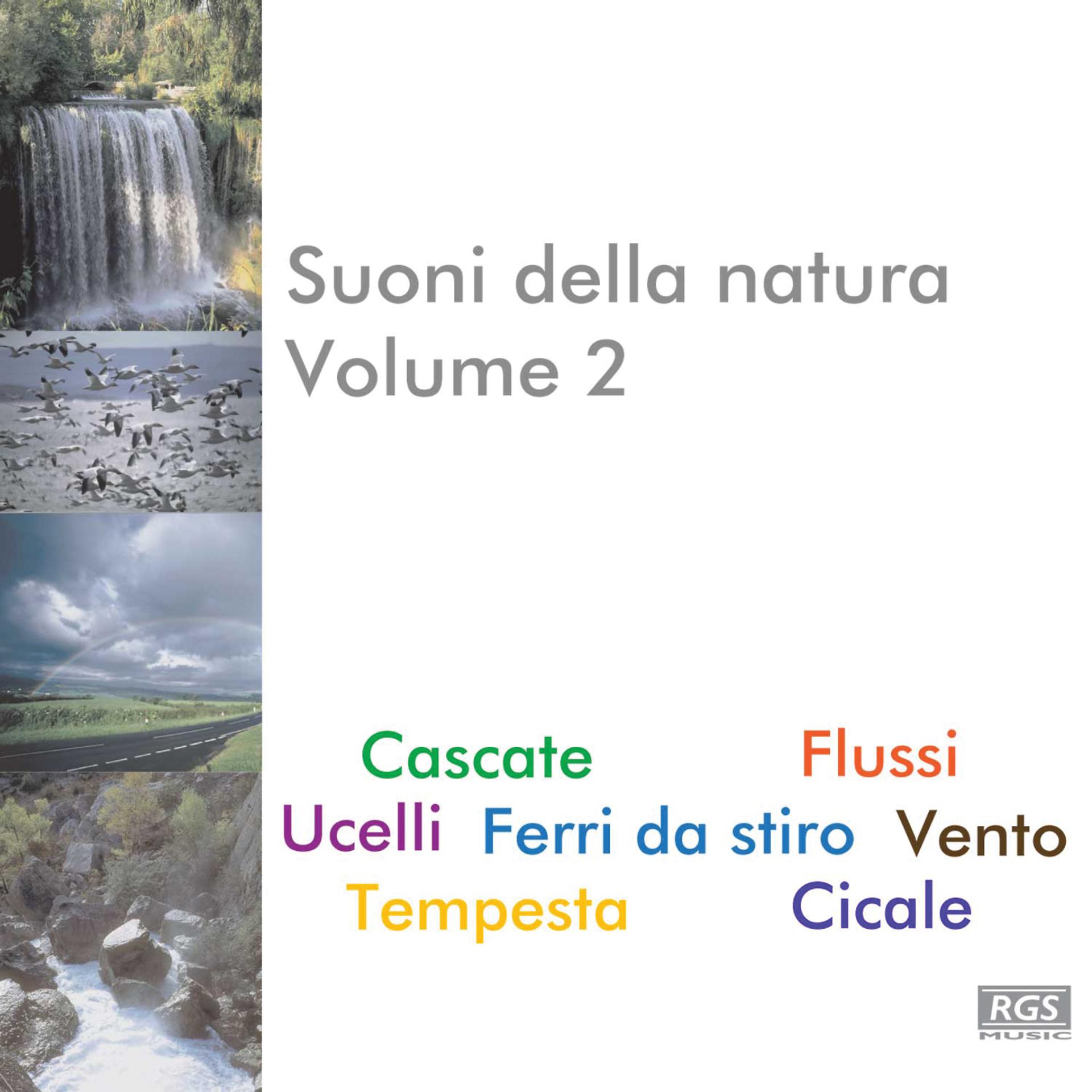 Постер альбома Suoni Della Natura Volume 2