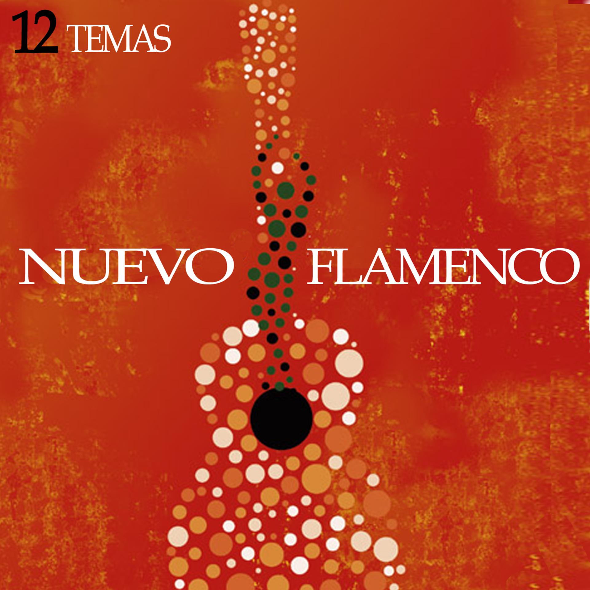 Постер альбома Nuevo Flamenco: 12 Temas