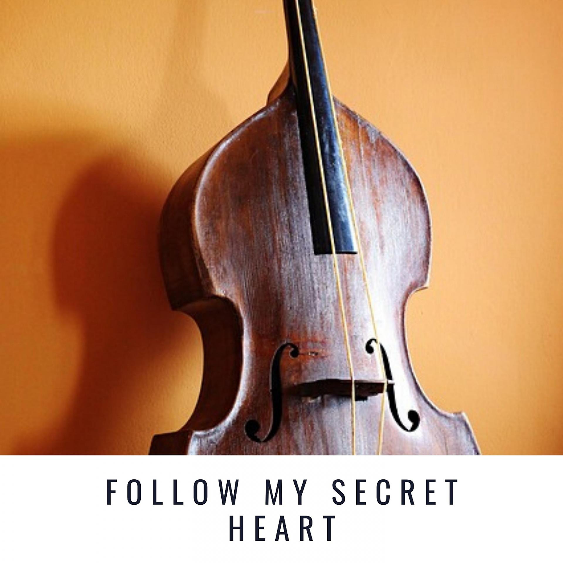 Постер альбома Follow My Secret Heart