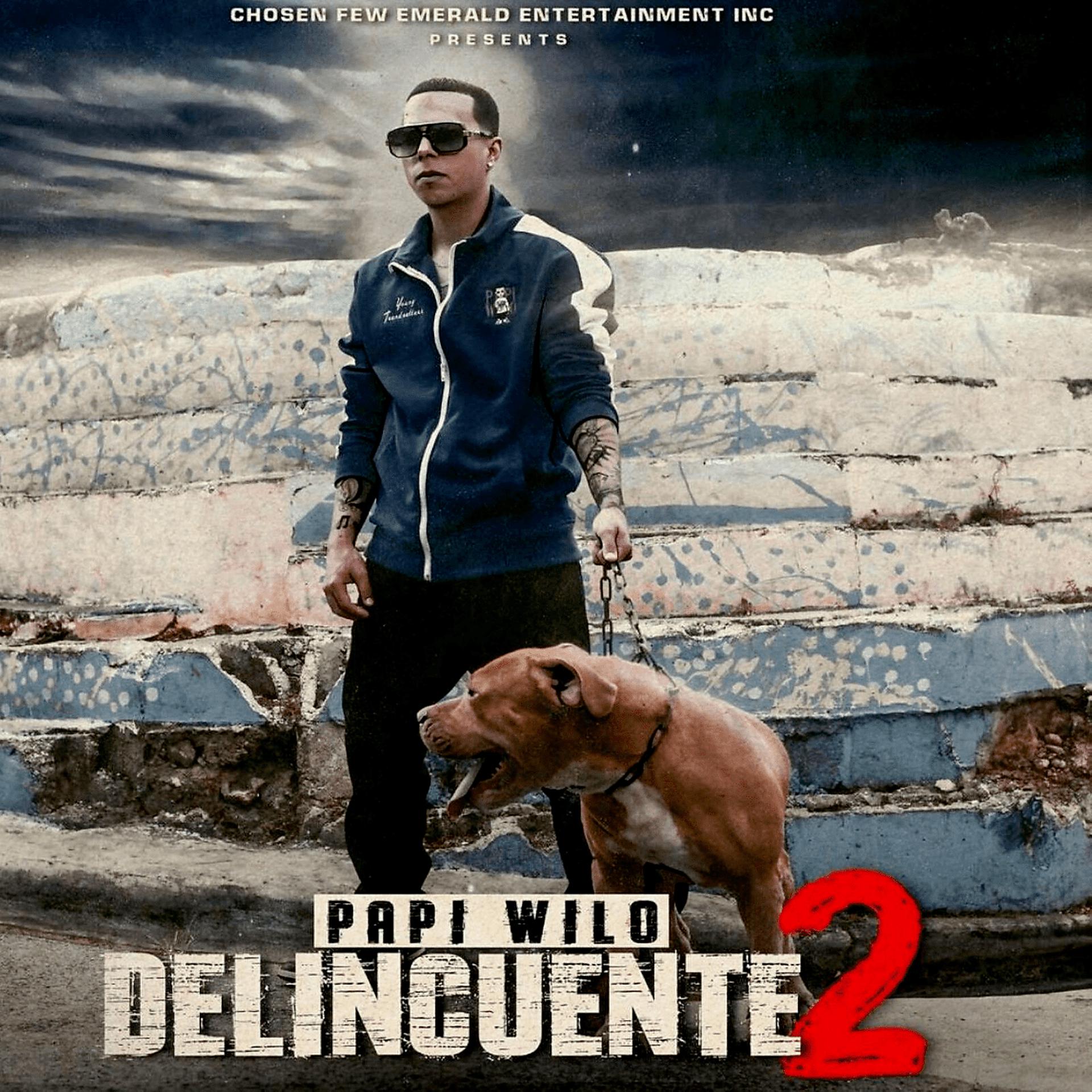 Постер альбома Delincuente 2