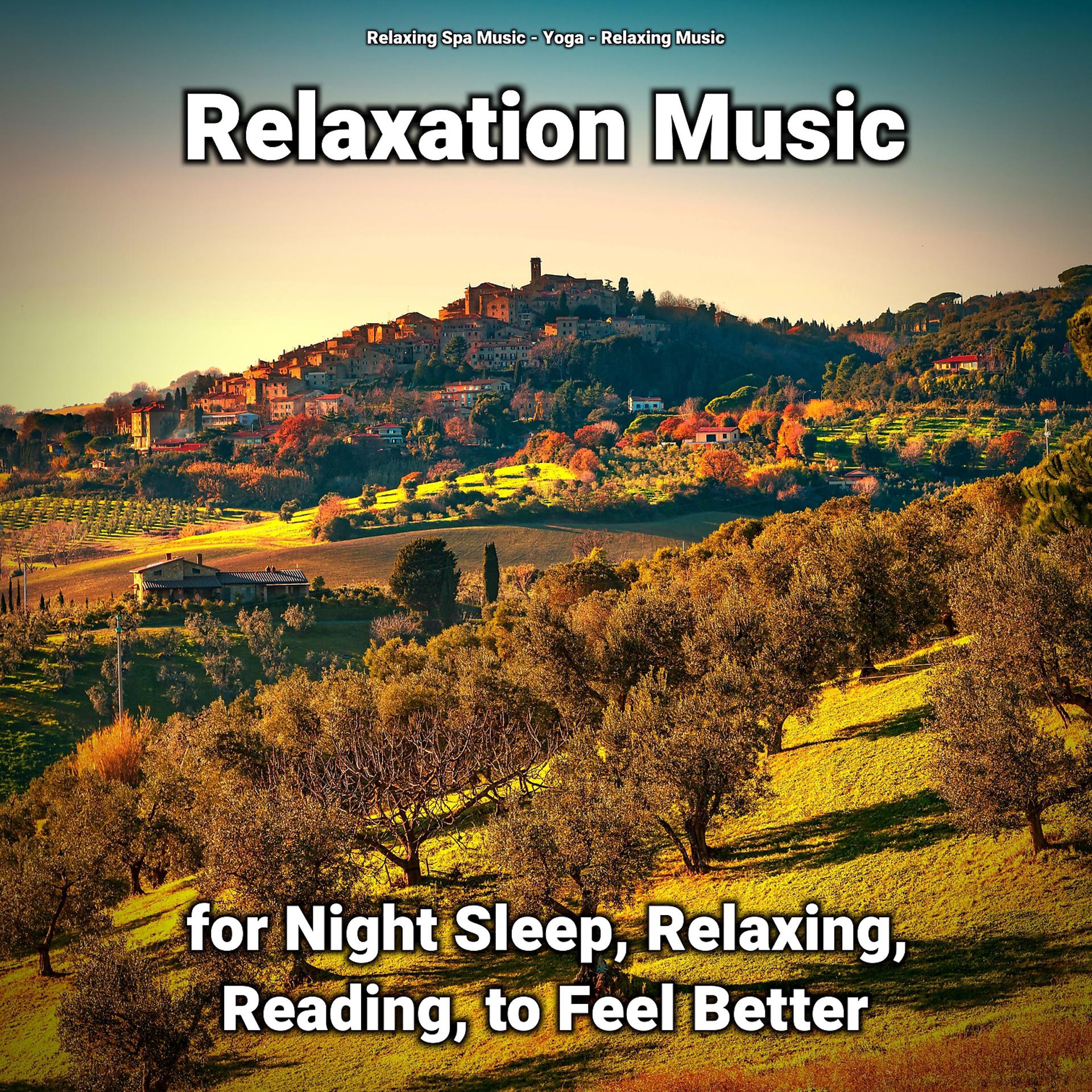 Постер альбома Relaxation Music for Night Sleep, Relaxing, Reading, to Feel Better