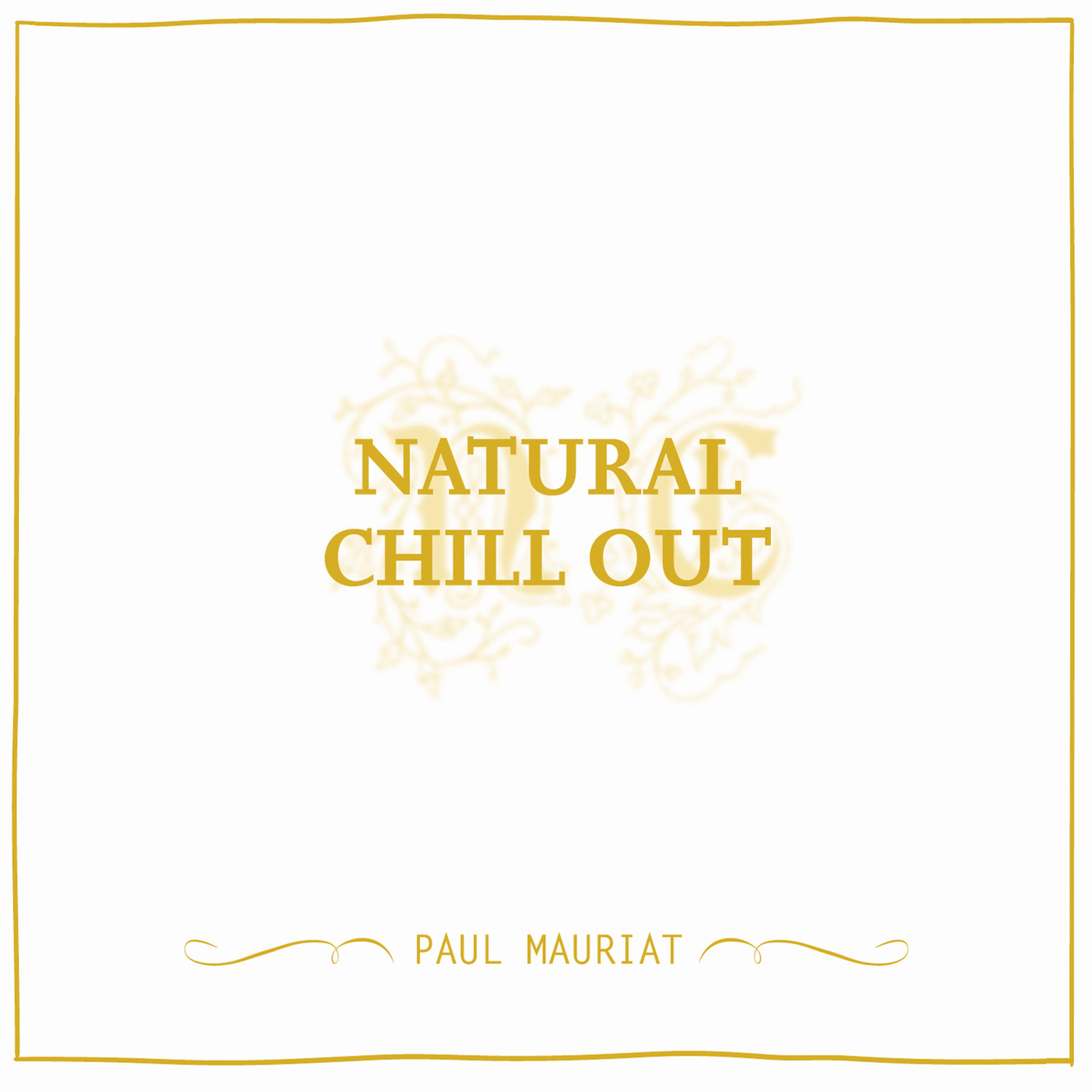 Постер альбома Natural Chill Out