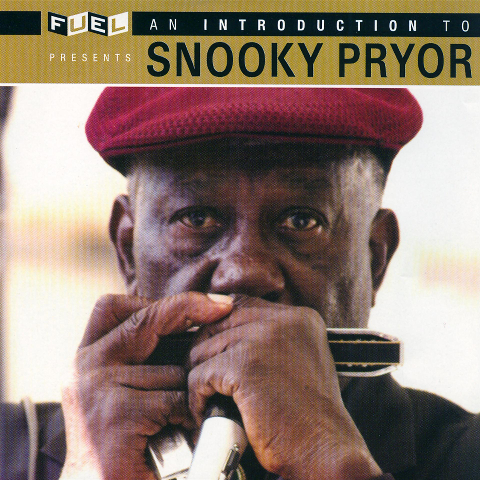 Постер альбома An Introduction To Snooky Pryor