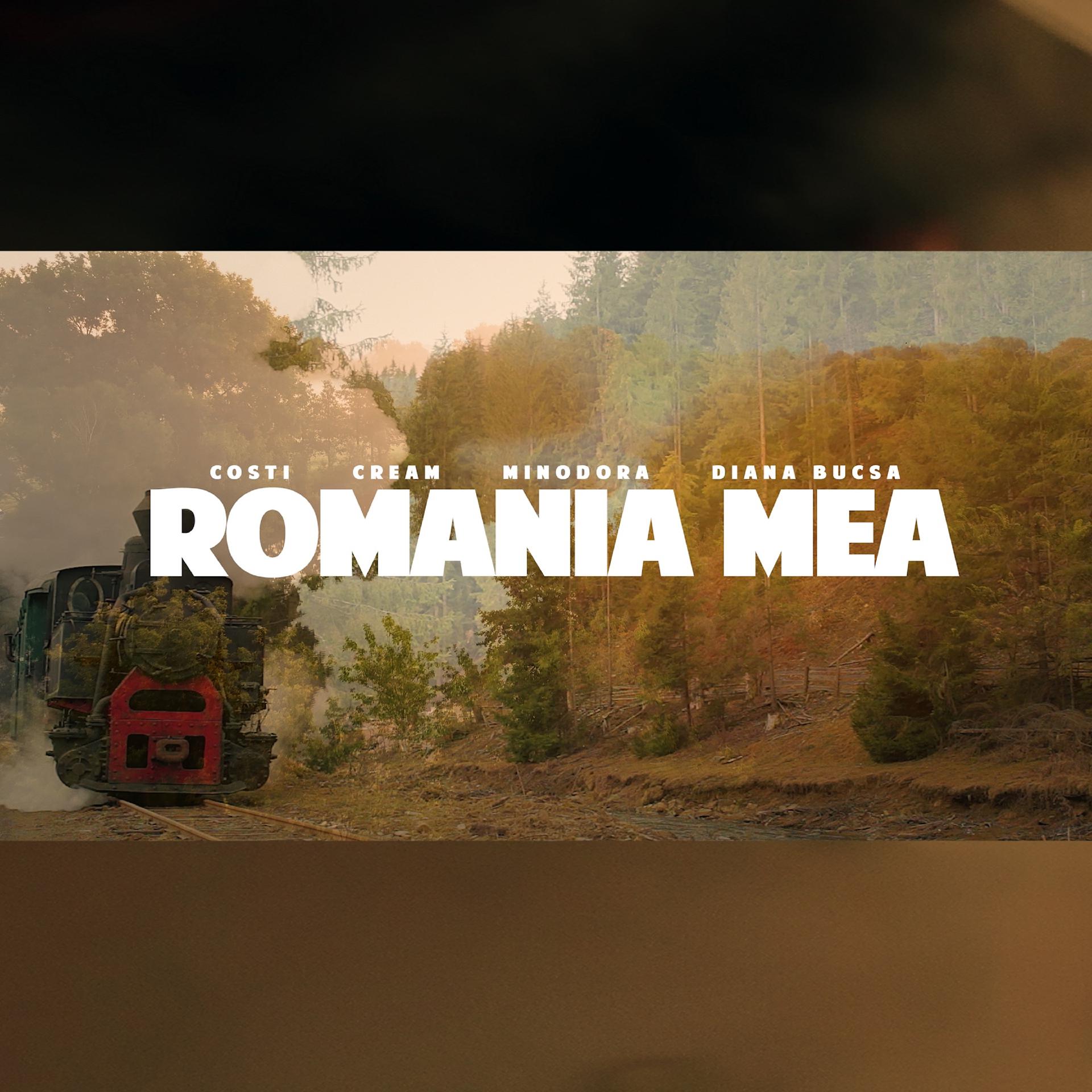 Постер альбома România mea