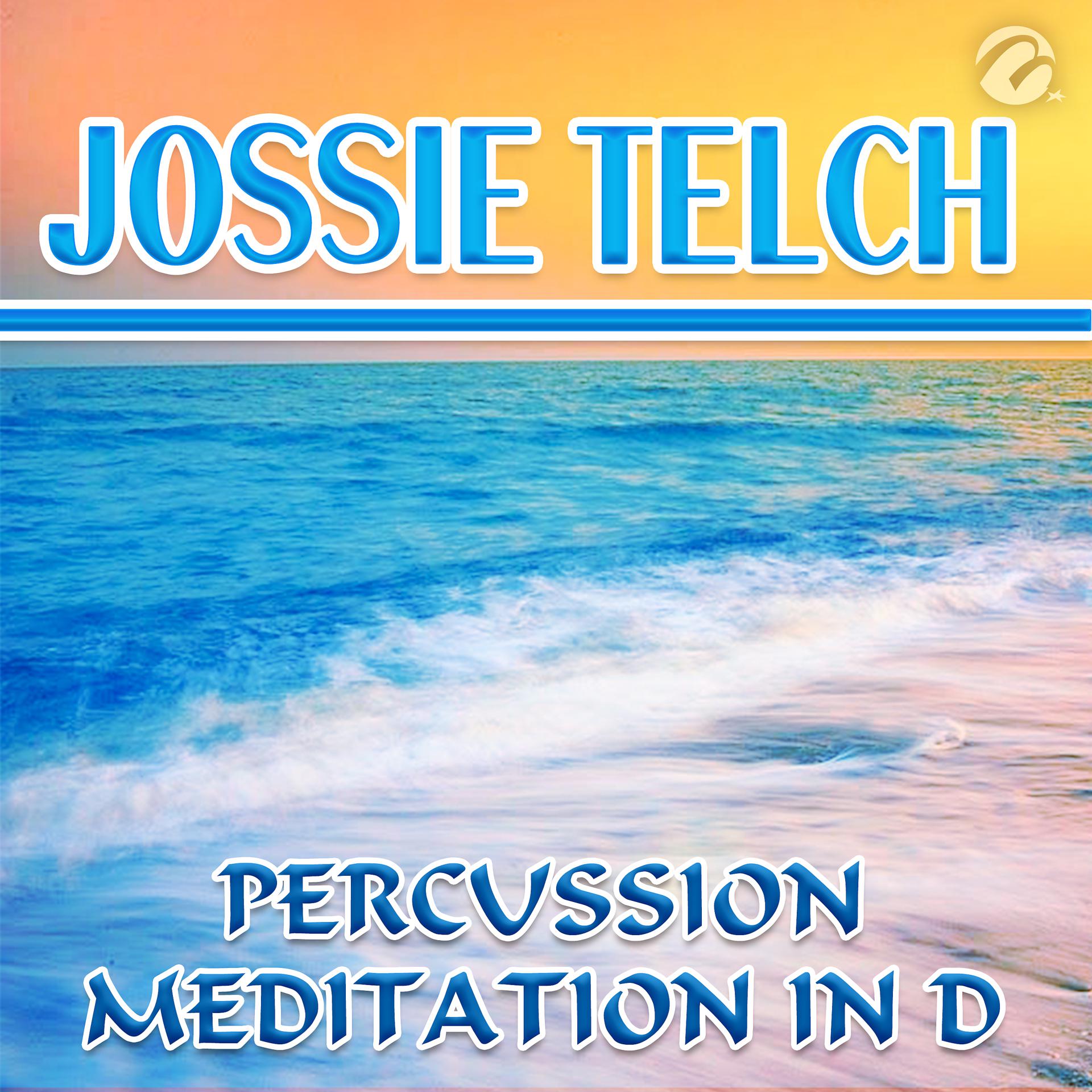 Постер альбома Percussion Meditation in D