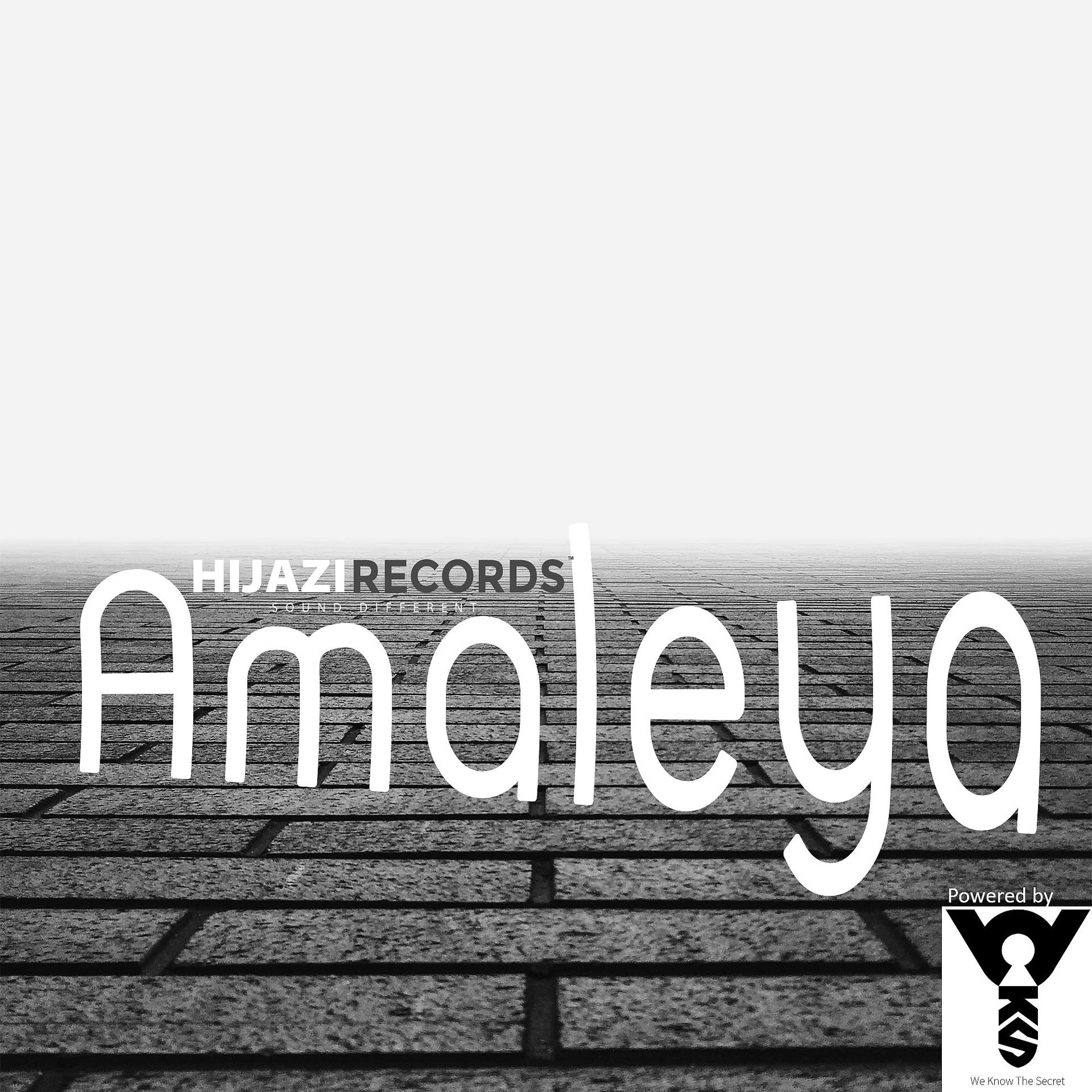 Постер альбома Amaleya (Remix)