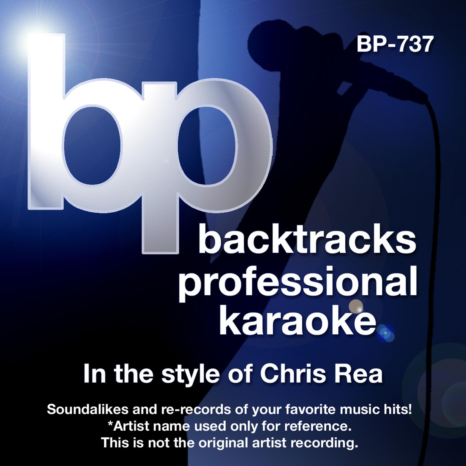 Постер альбома Karaoke - In the Style of Chris Rea (Karaoke Version)