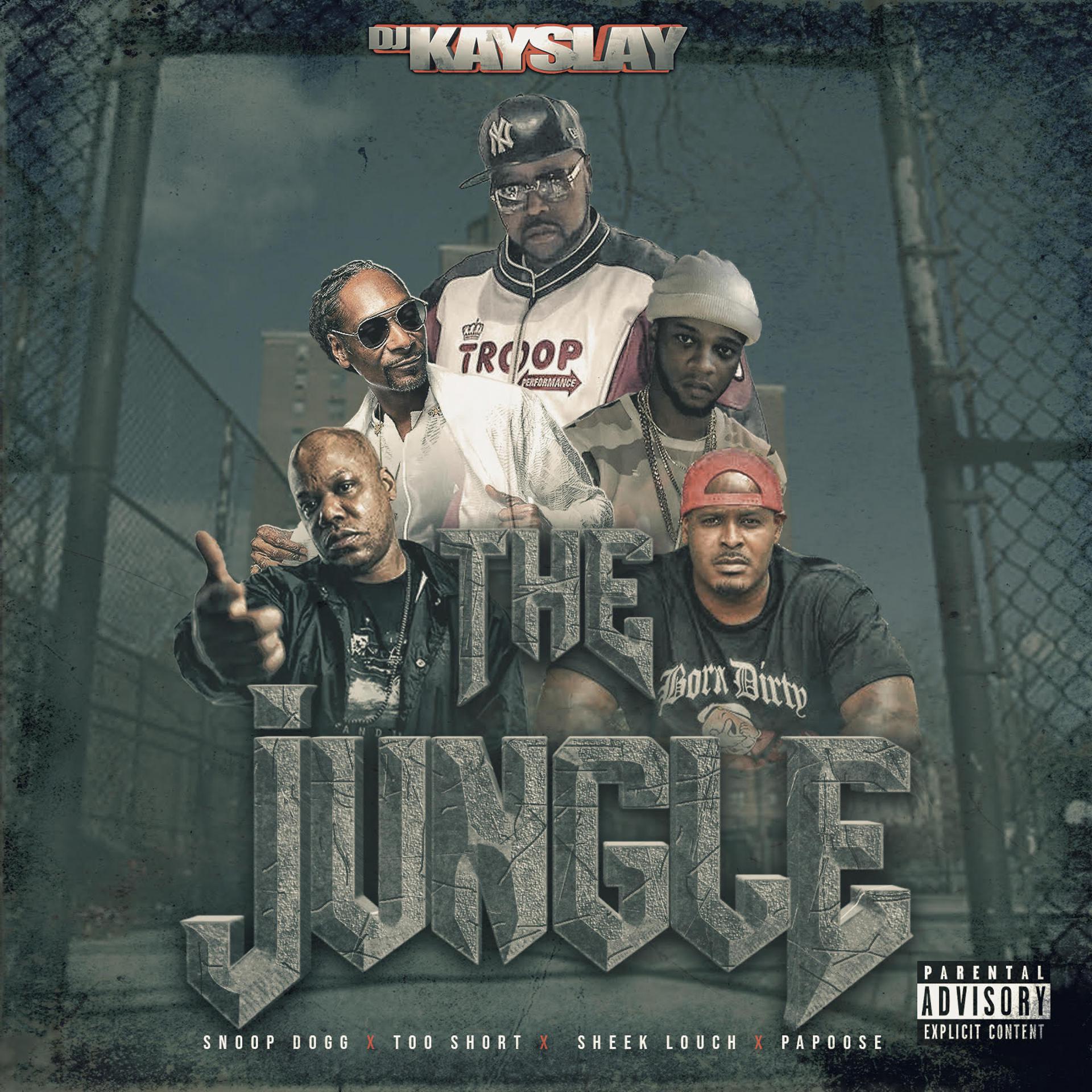 Постер альбома The Jungle (feat. Snoop Dogg, Too $hort, Sheek Louch & Papoose)