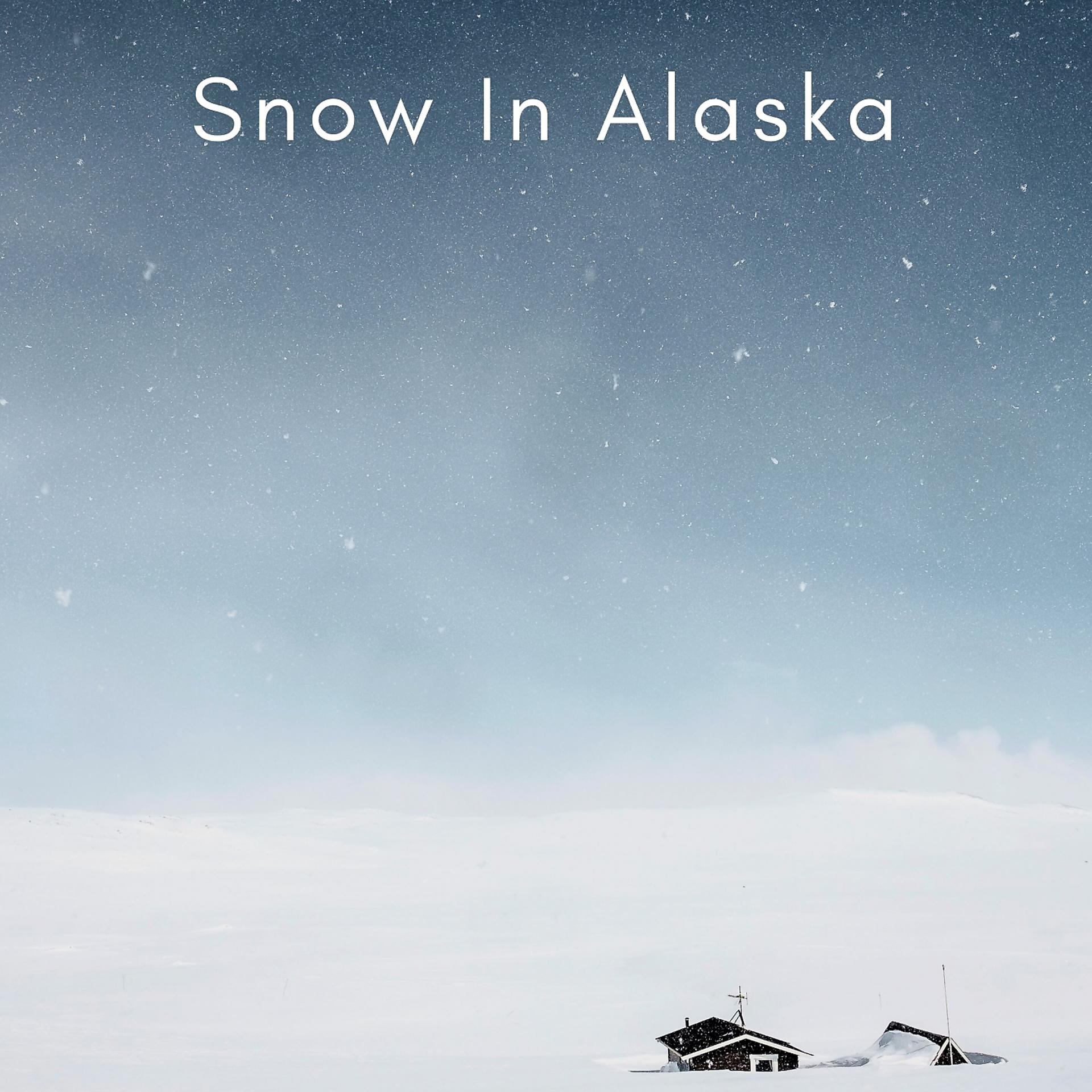 Постер альбома Snow In Alaska