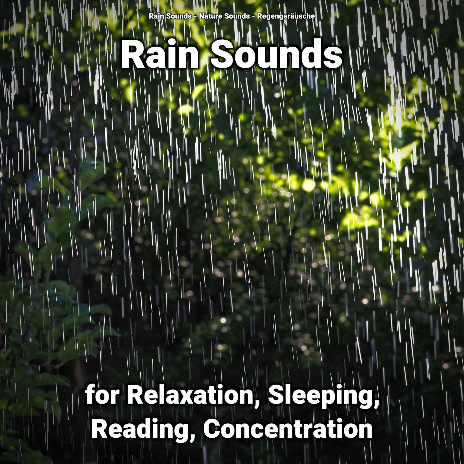 Постер альбома Rain Sounds for Relaxation, Sleeping, Reading, Concentration