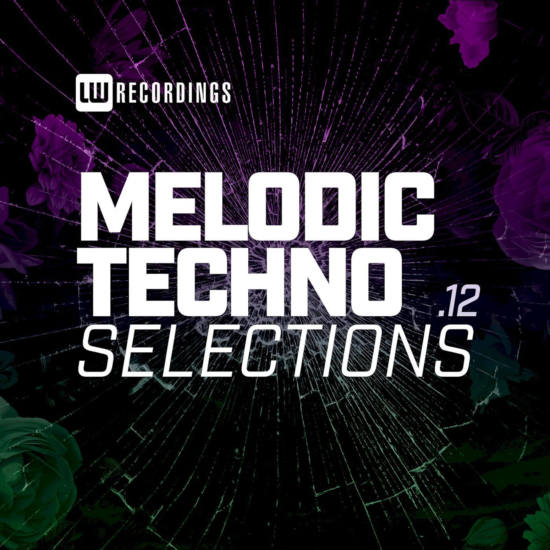 Постер альбома Melodic Techno Selections, Vol. 12