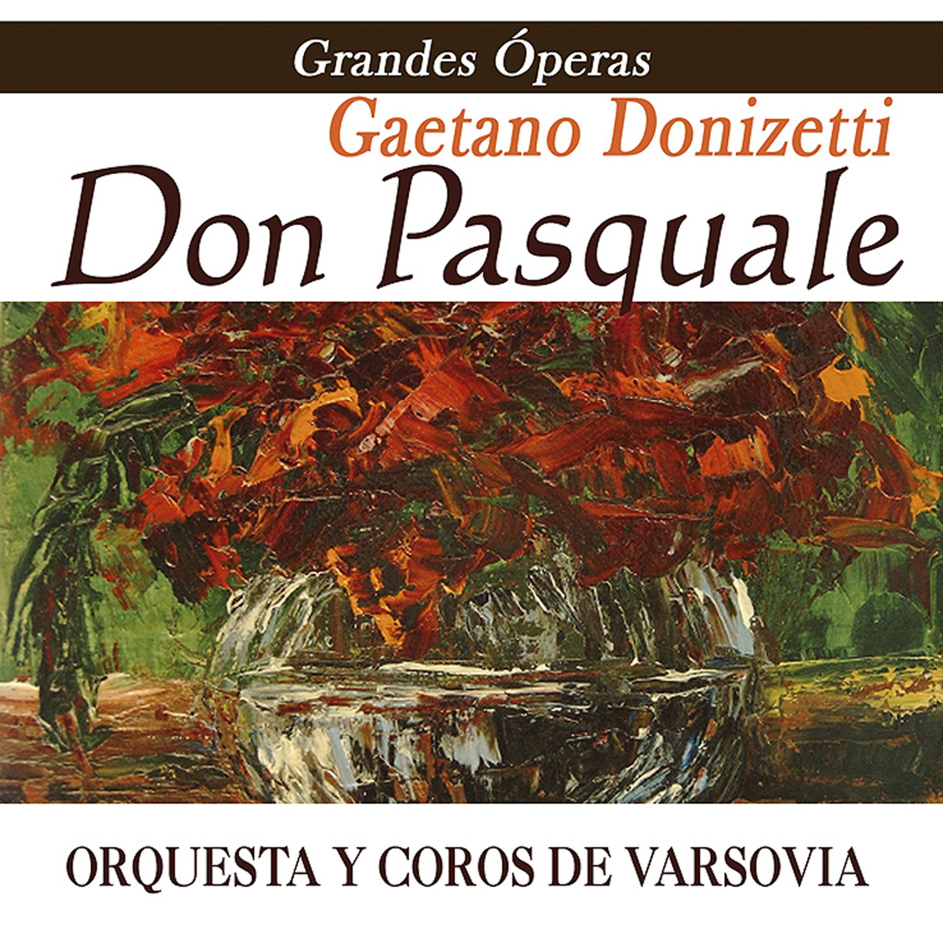 Постер альбома Opera - Don Pasquale