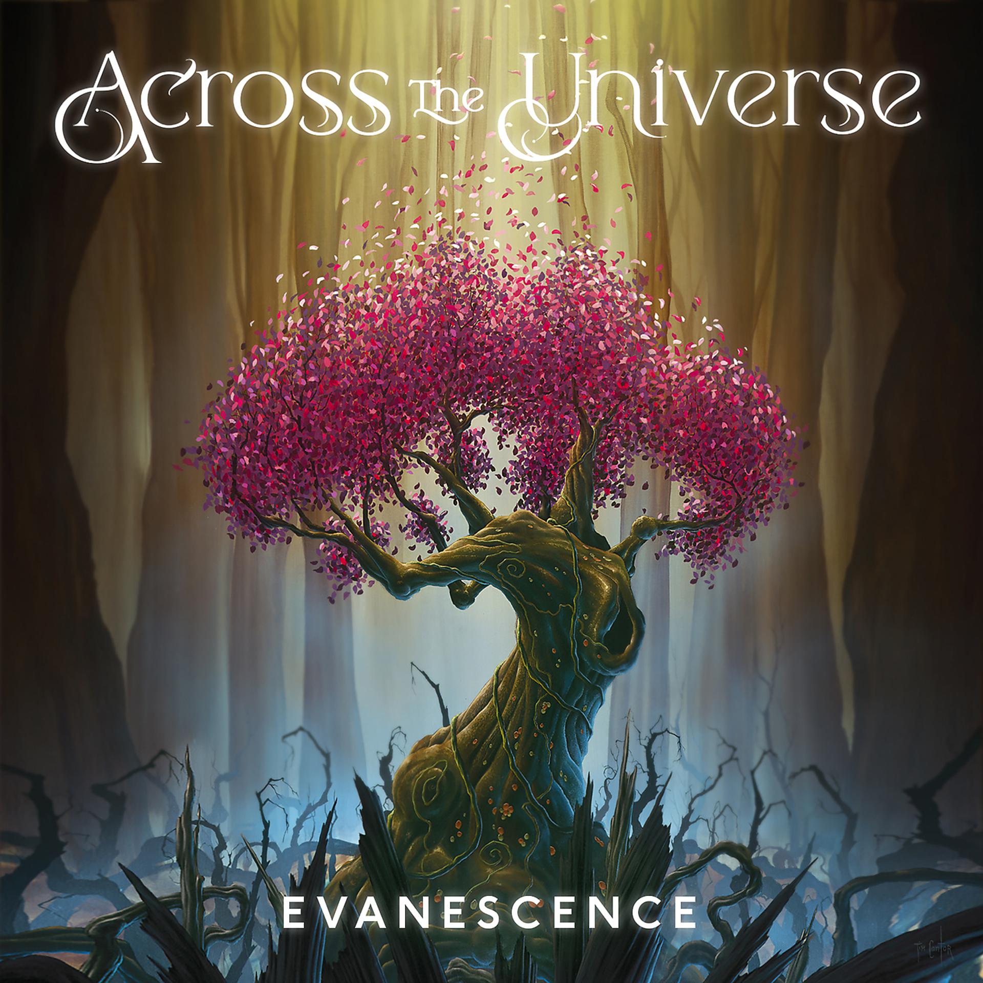 Постер альбома Across The Universe