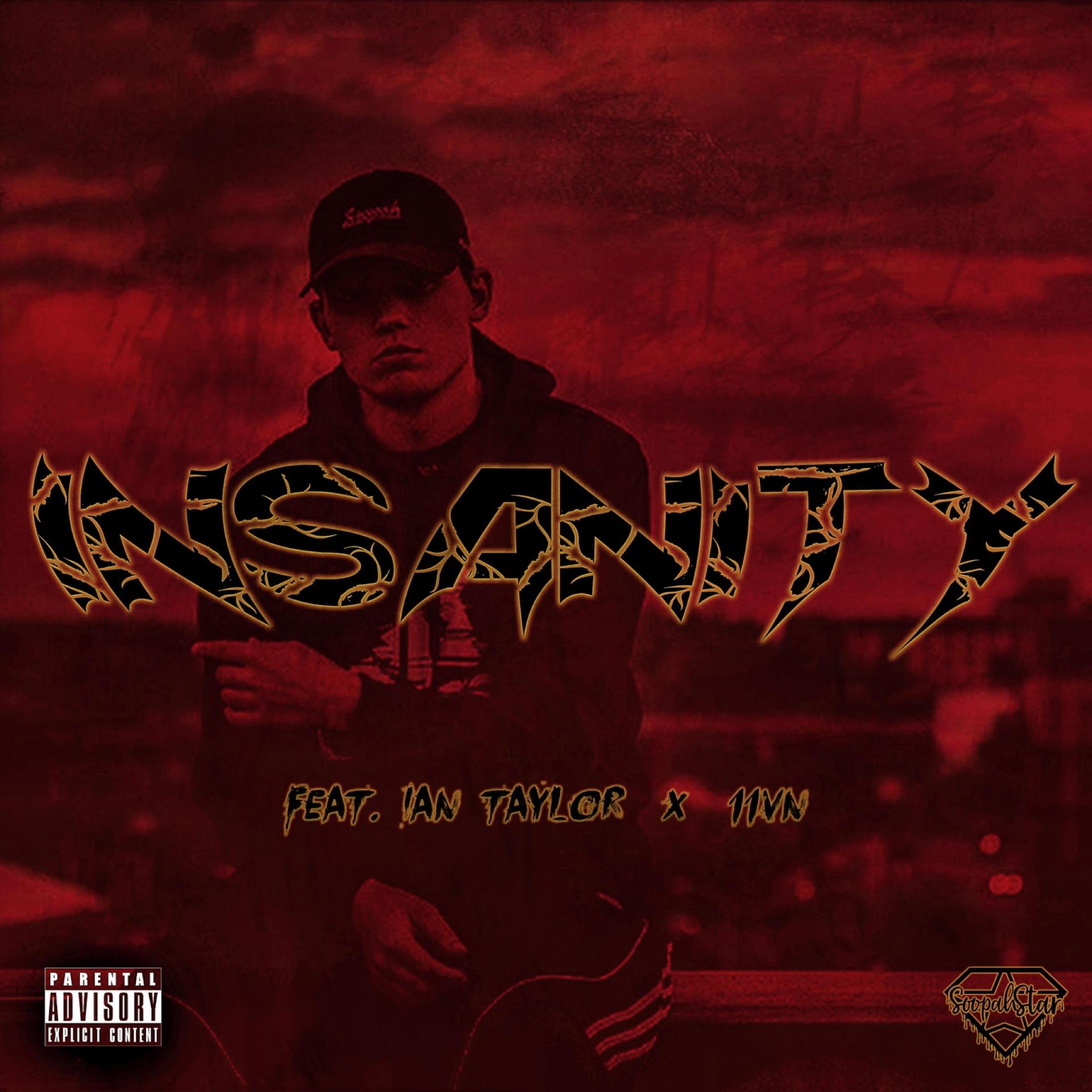 Постер альбома Insanity