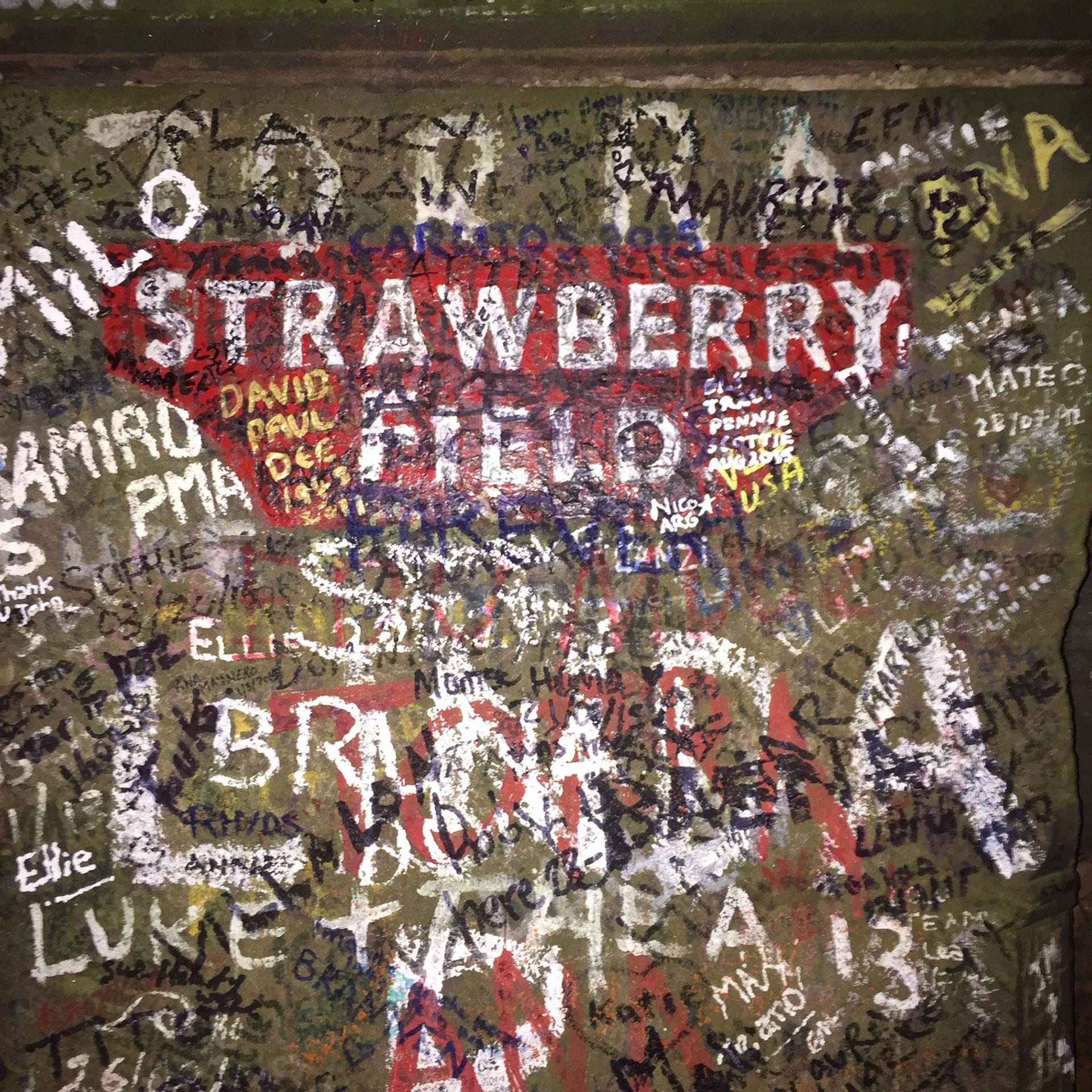 Постер альбома The Strawberry Field Sessions