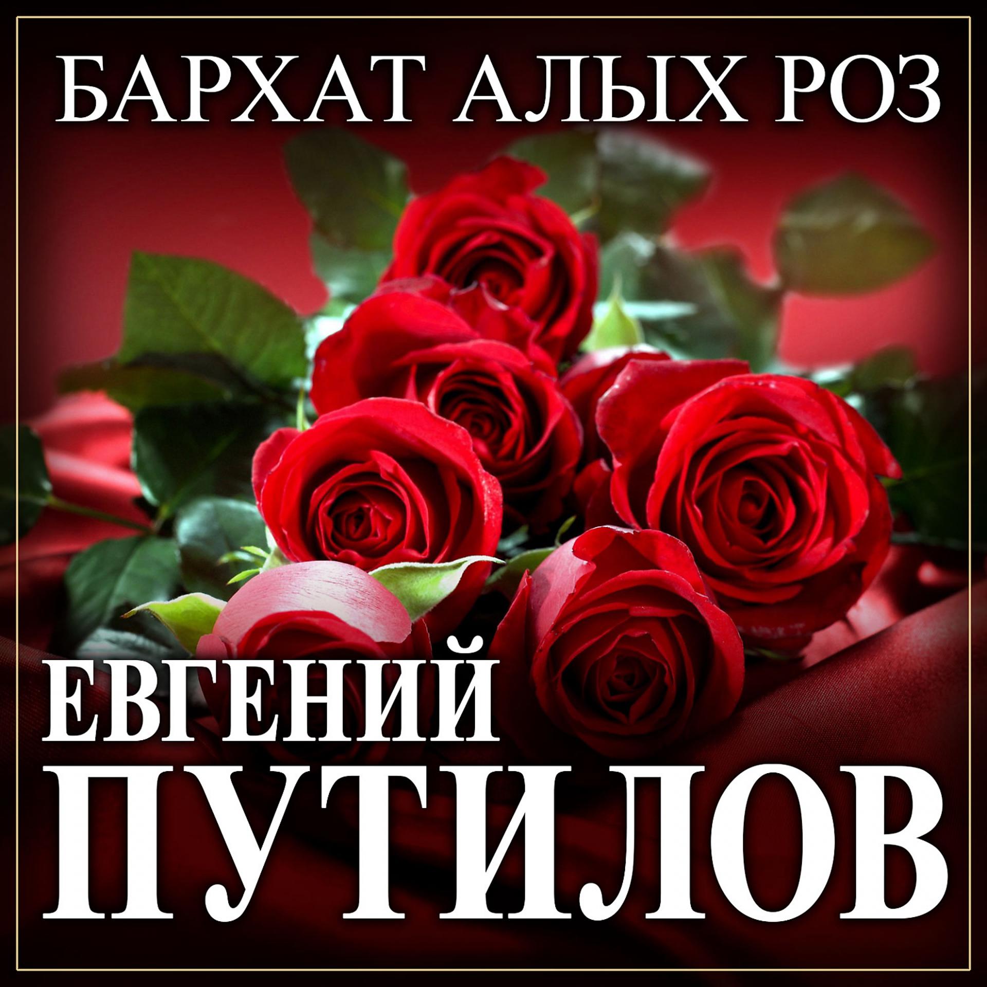 Постер альбома Бархат алых роз