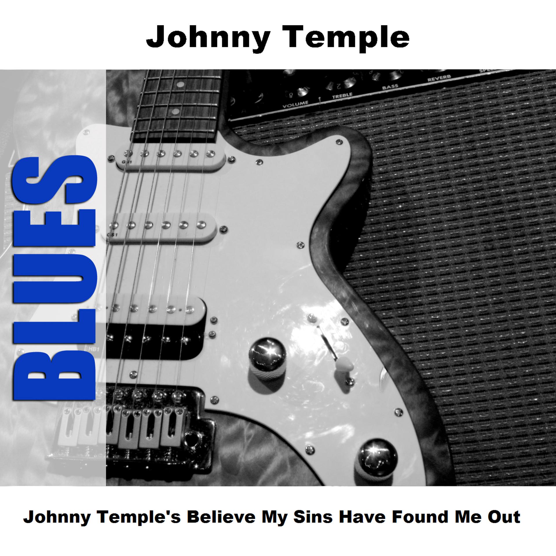 Постер альбома Johnny Temple's Believe My Sins Have Found Me Out