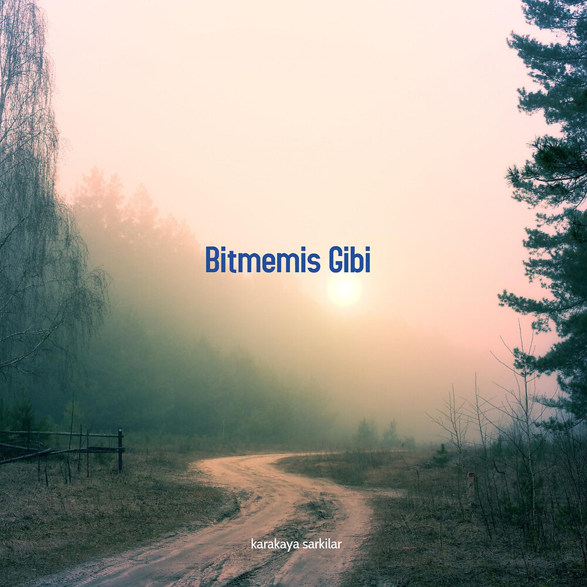 Постер альбома Bitmemis Gibi