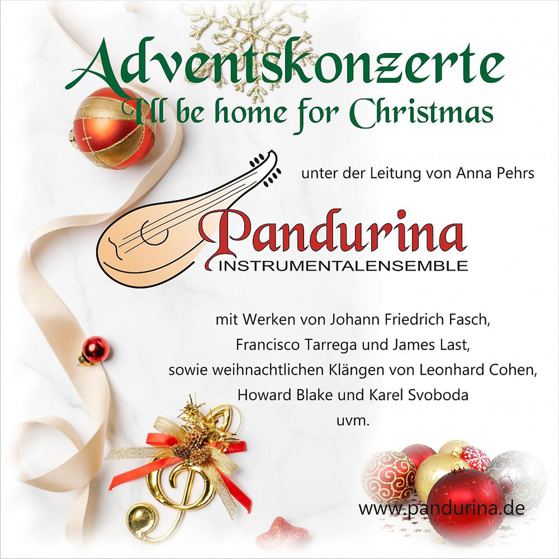 Постер альбома Pandurina