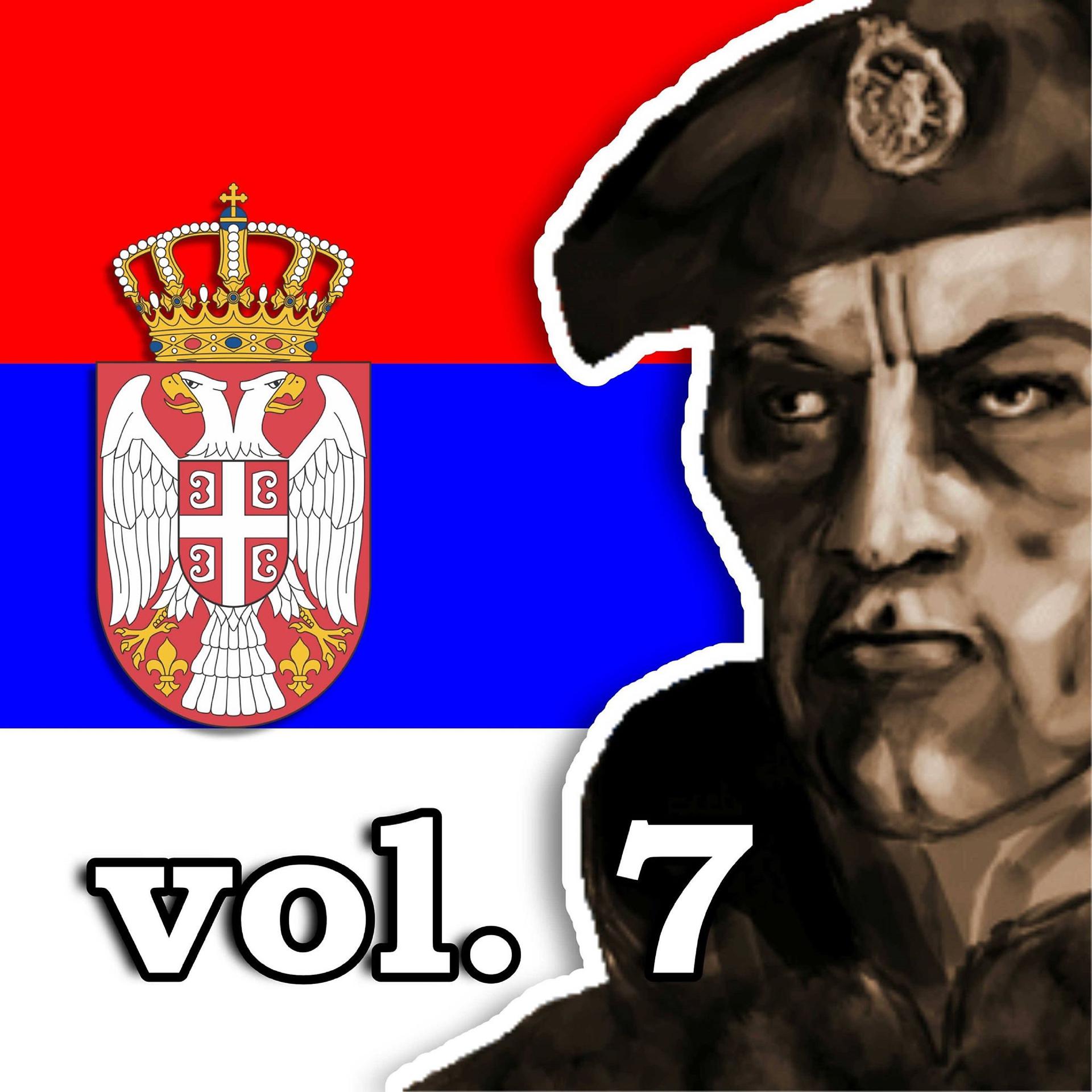 Постер альбома Koktel patriotskih hitova vol. 7