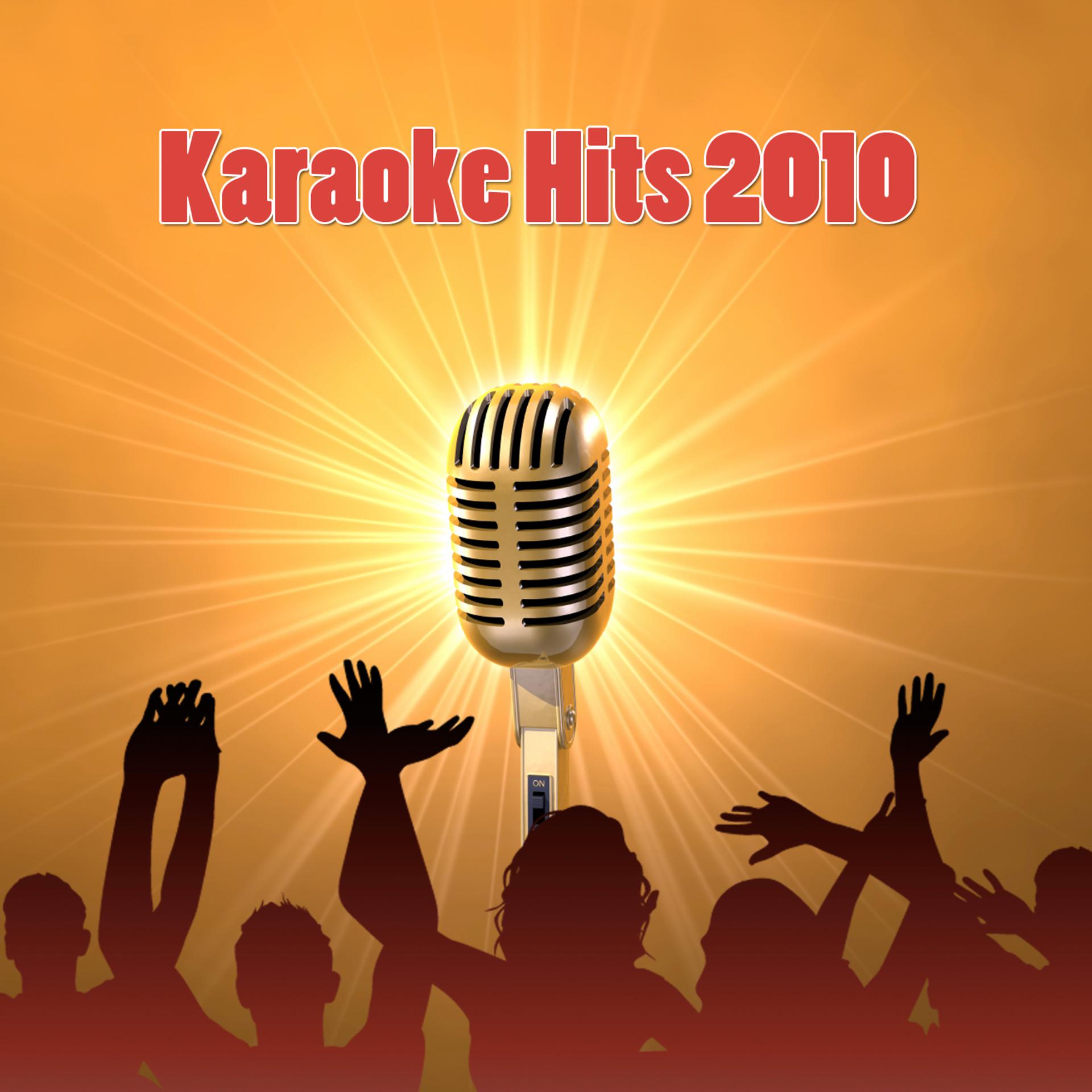 Постер альбома Karaoke Hits 2010