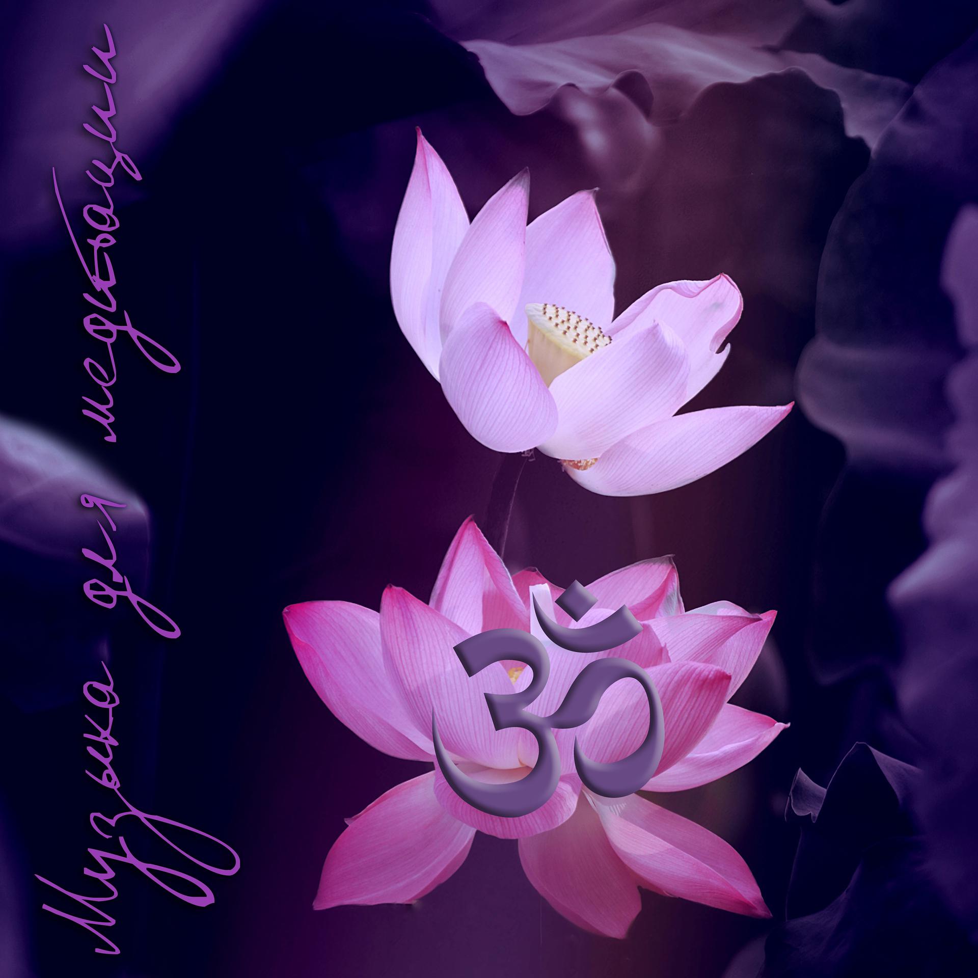 Постер альбома Музыка для медитации