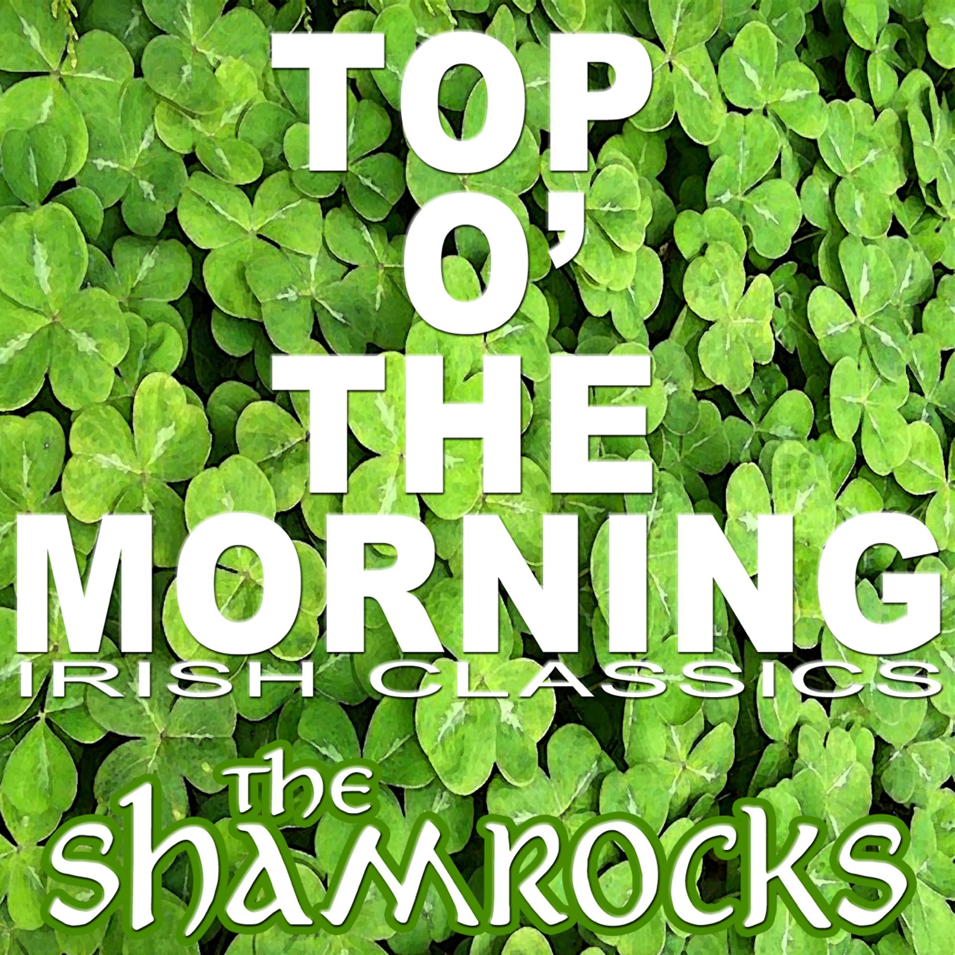 Постер альбома Top O' The Morning, Irish Classics