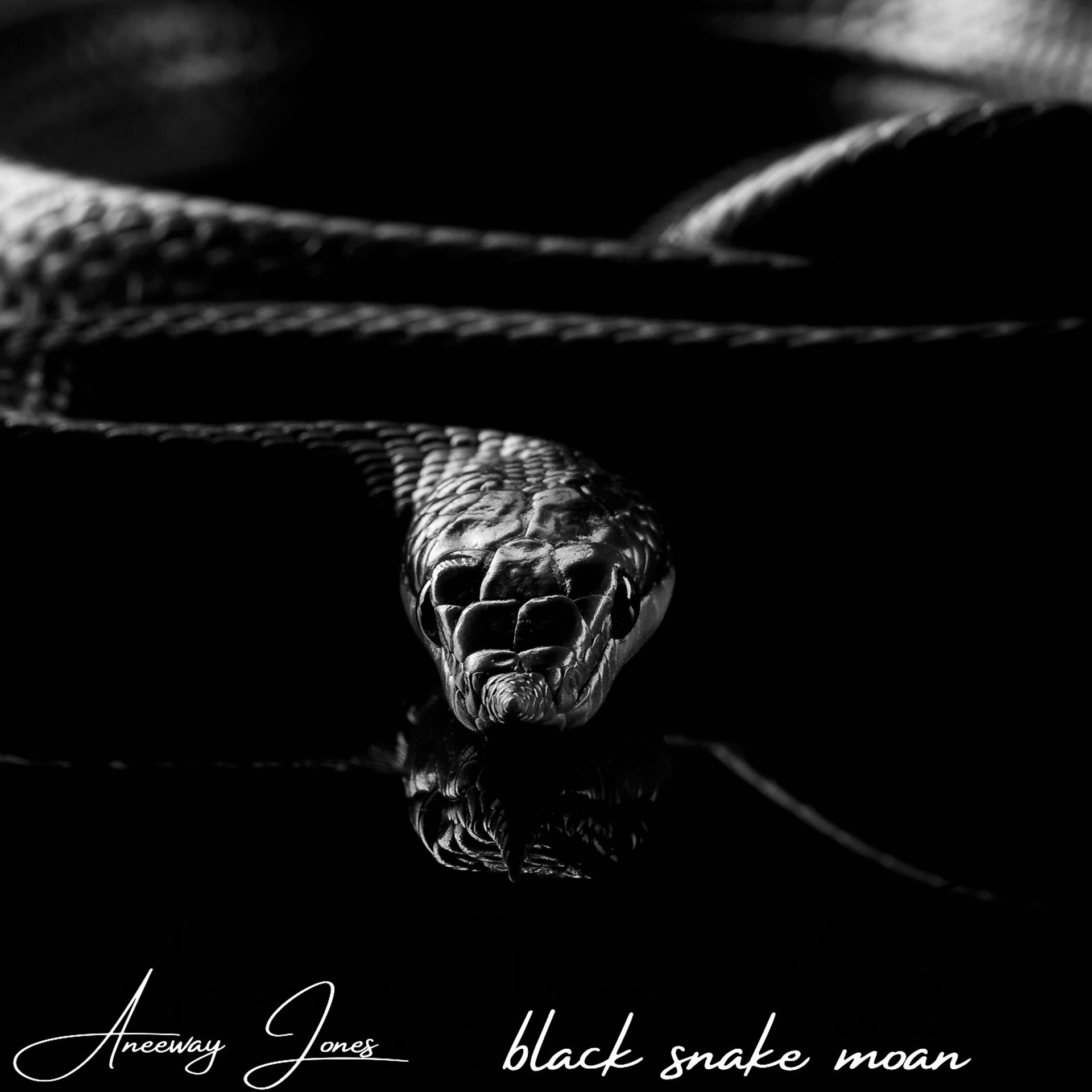 Постер альбома Black Snake Moan