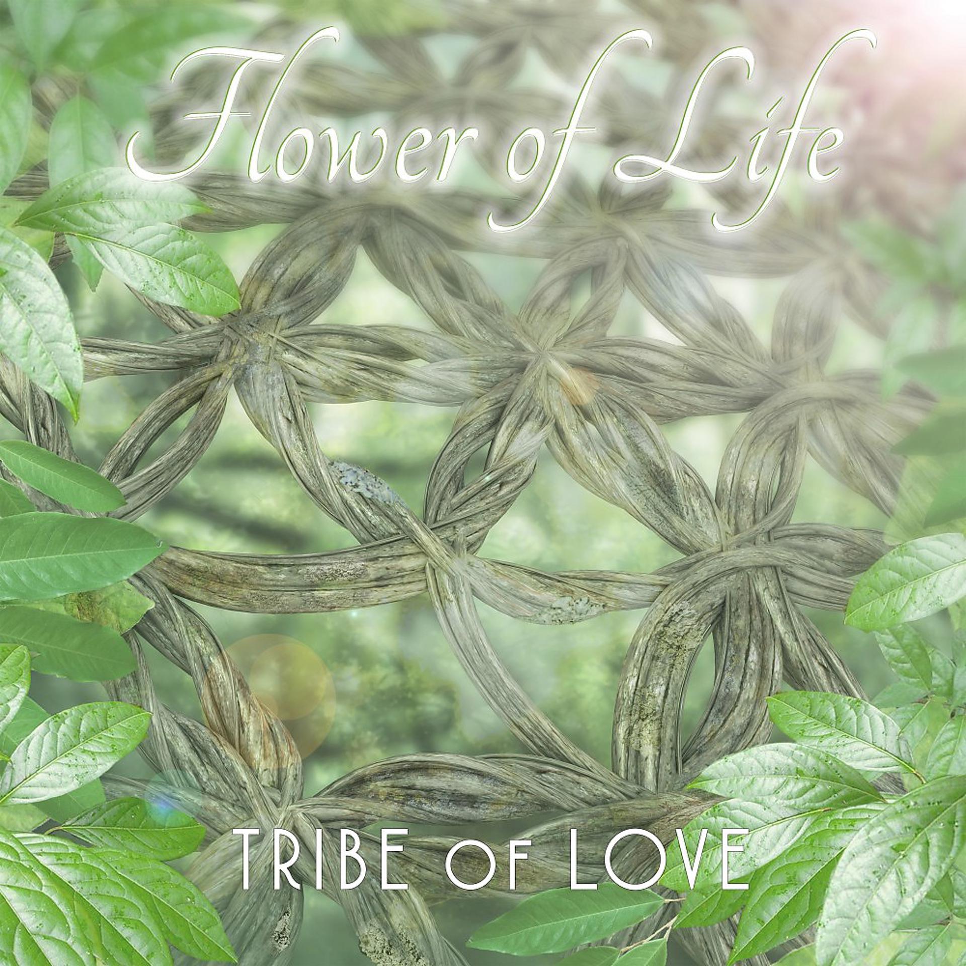 Постер альбома Flower of Life